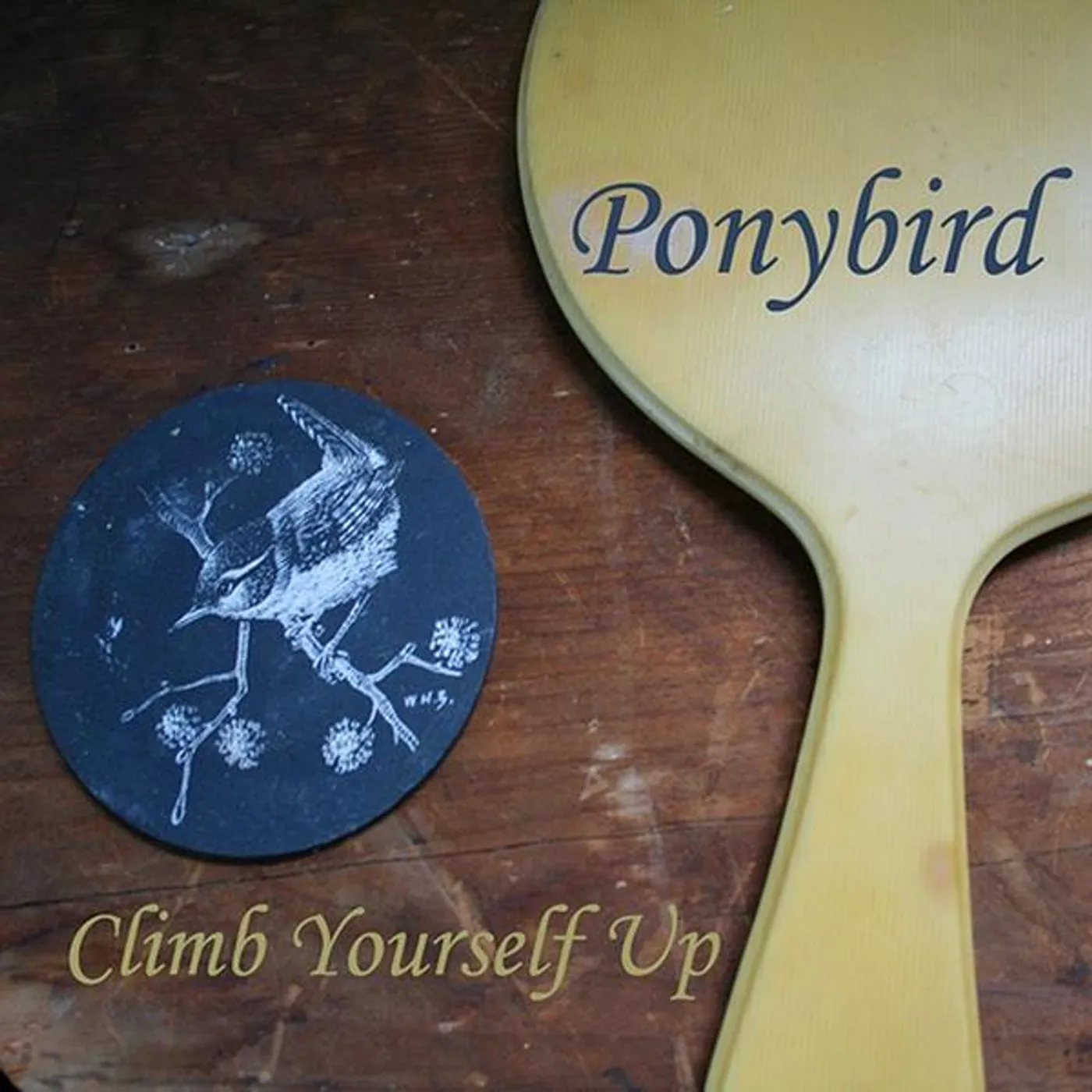 Ponybird CLIMB YOURSELF UP CD