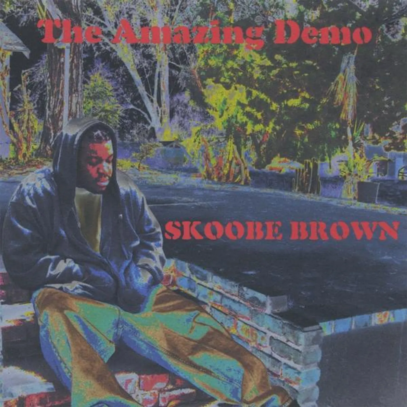 Skoobe Brown AMAZING DEMO CD