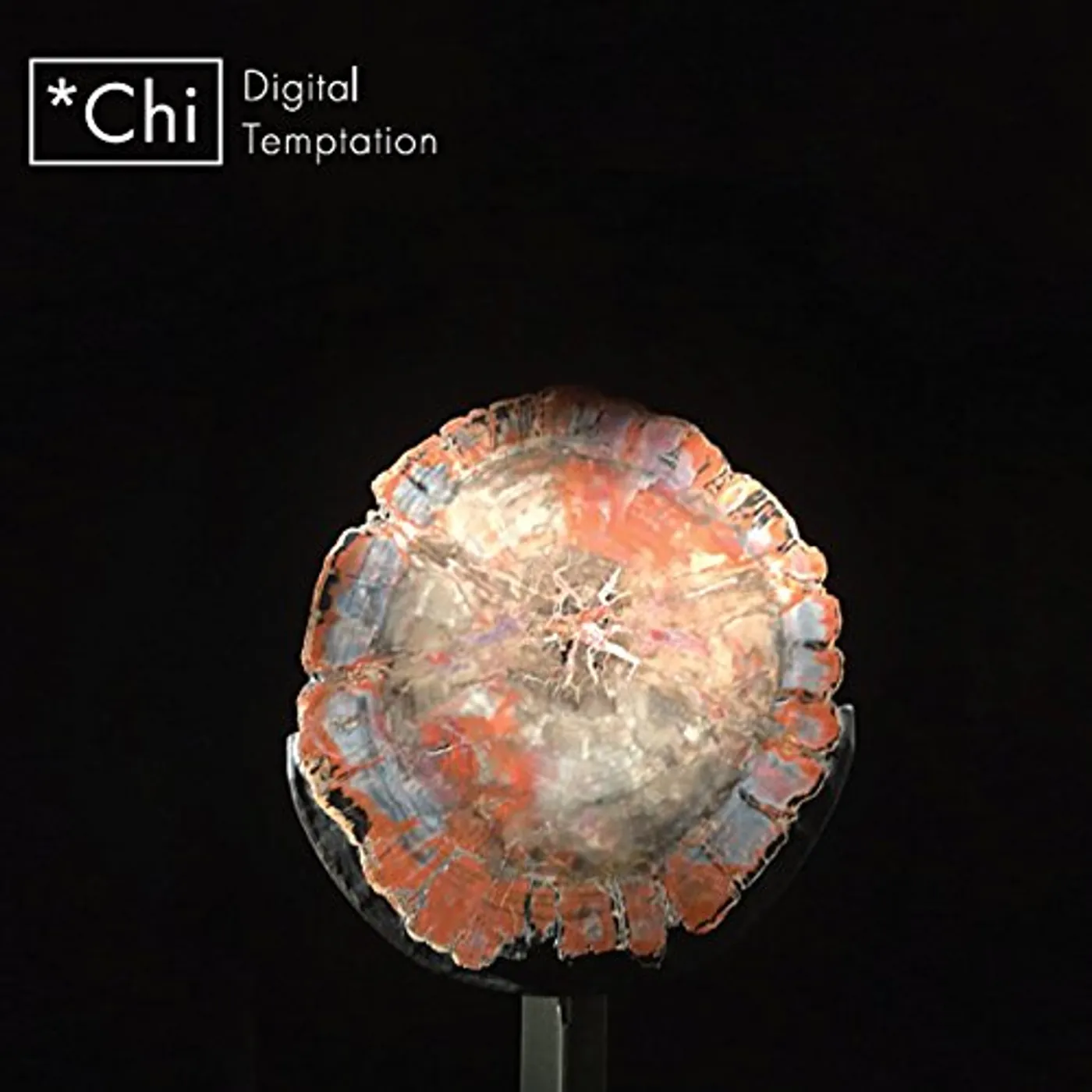 Chi DIGITAL TEMPTATION CD
