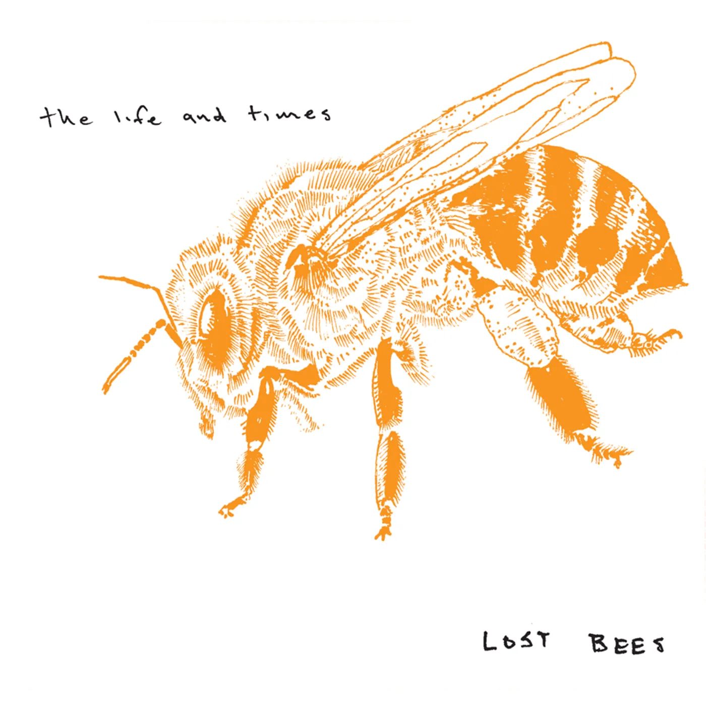 Life and Times Lost Bees Vinyl Record