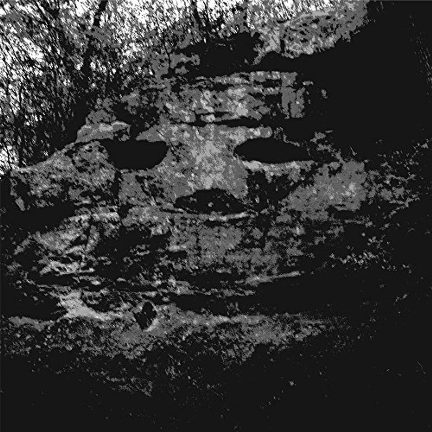 PANICSVILLE DRAGONFLY FOR EACH CORPSE (UK) (Vinyl)
