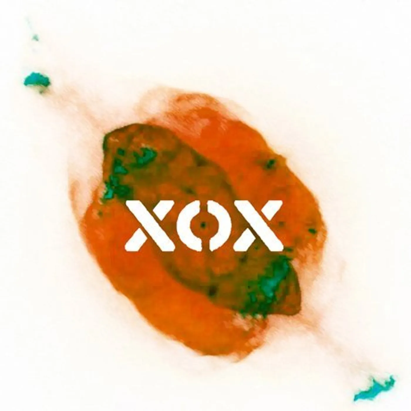 XOX CHAOSMOS CD