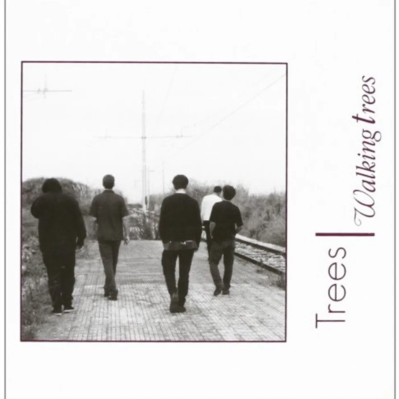 WALKING TREES CD