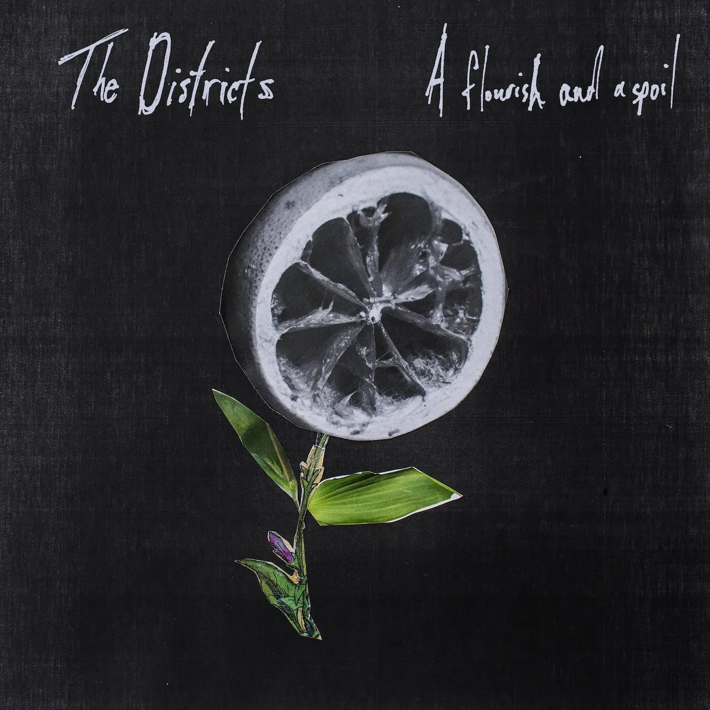 The Districts FLOURISH & A SPOIL: LIMITED Vinyl Record