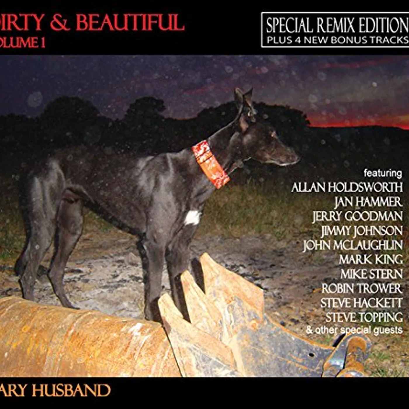 Gary Husband DIRTY & BEAUTIFUL 1 CD