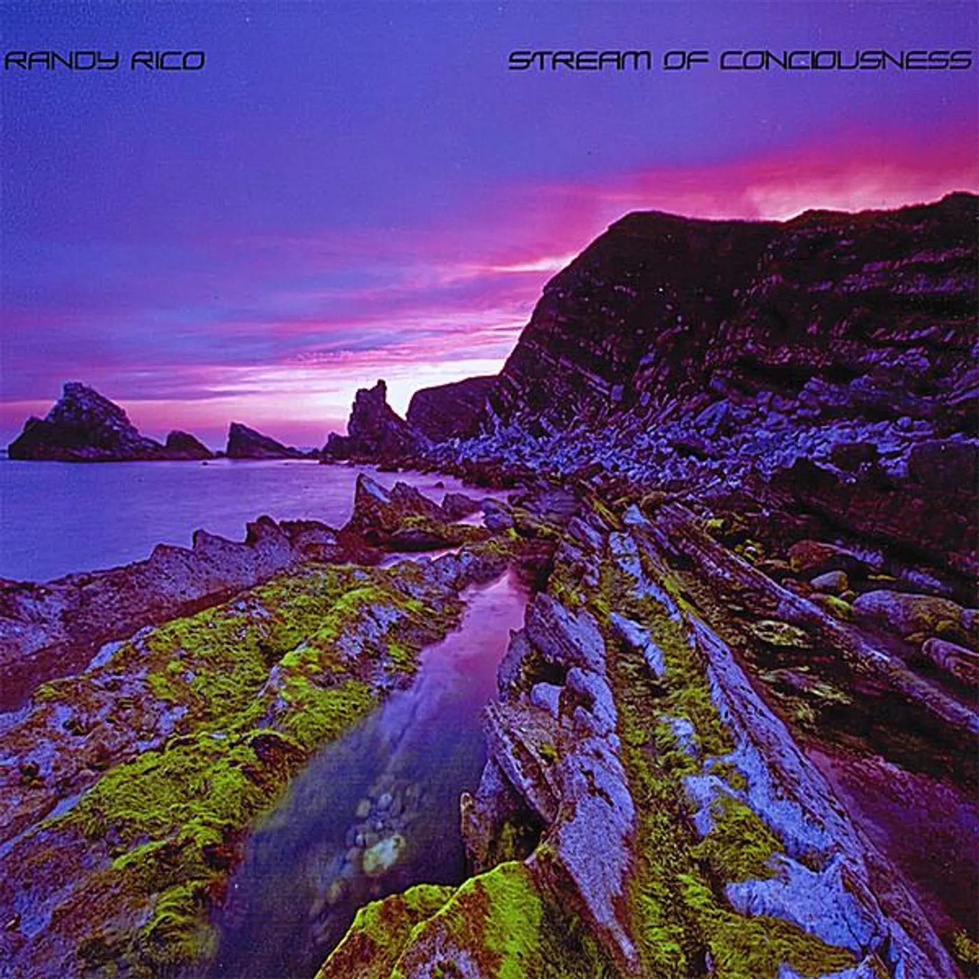 Randy Rico STREAM OF CONCIOUSNESS CD