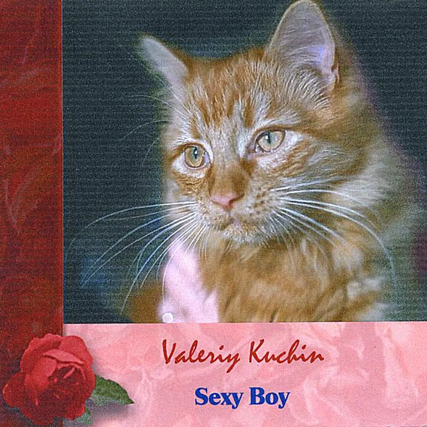 Valeriy Kuchin SEXY BOY CD