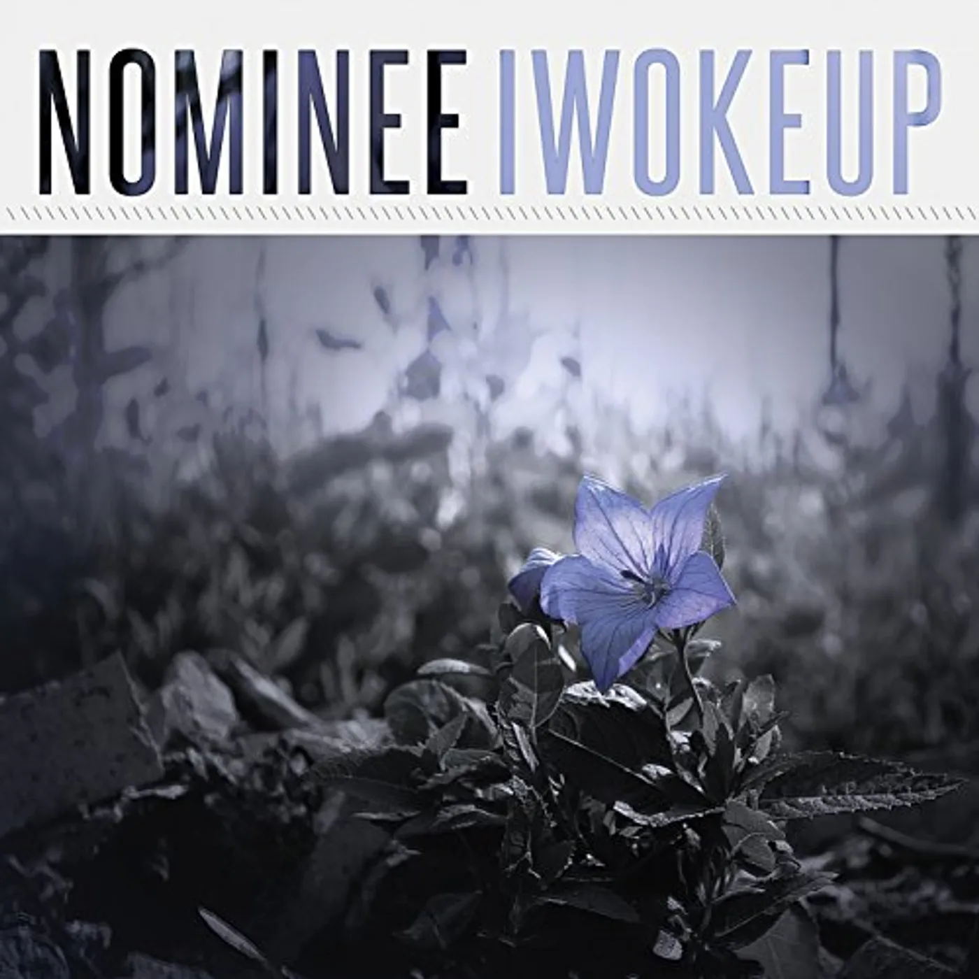 Nominee I WOKE UP CD