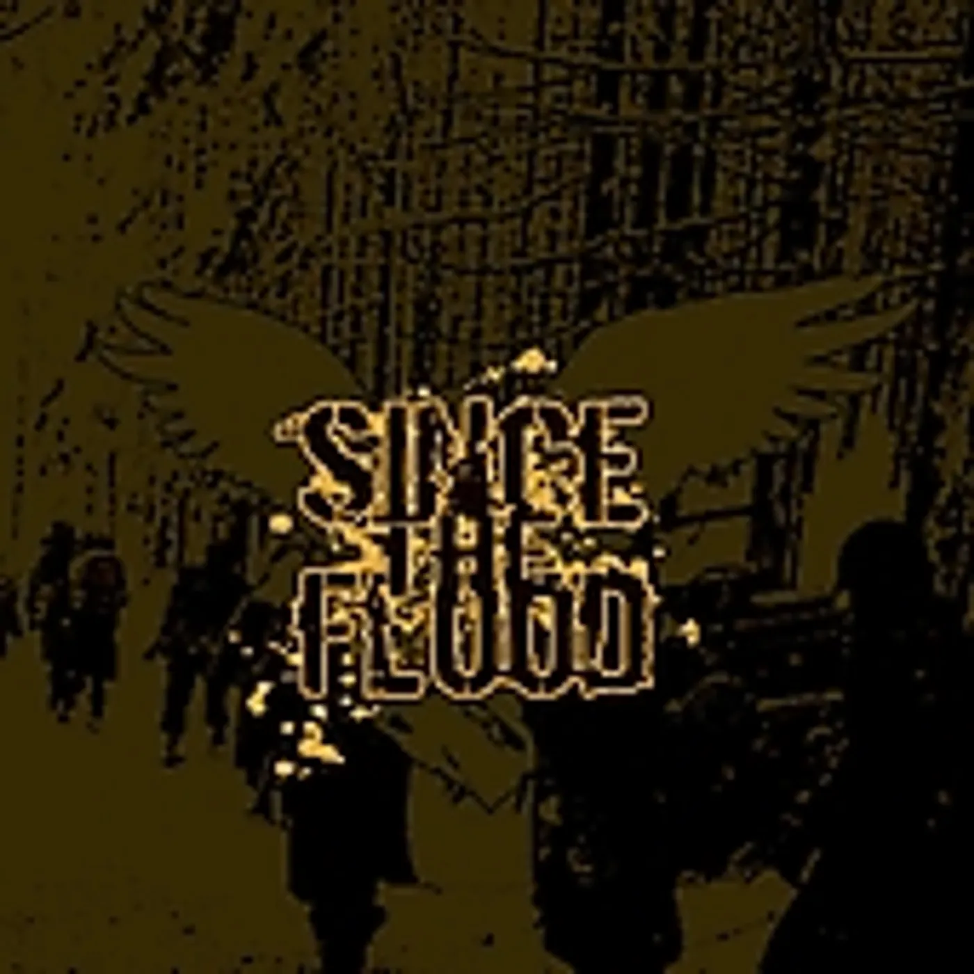 Since The Flood VALOR & VENGEANCE CD