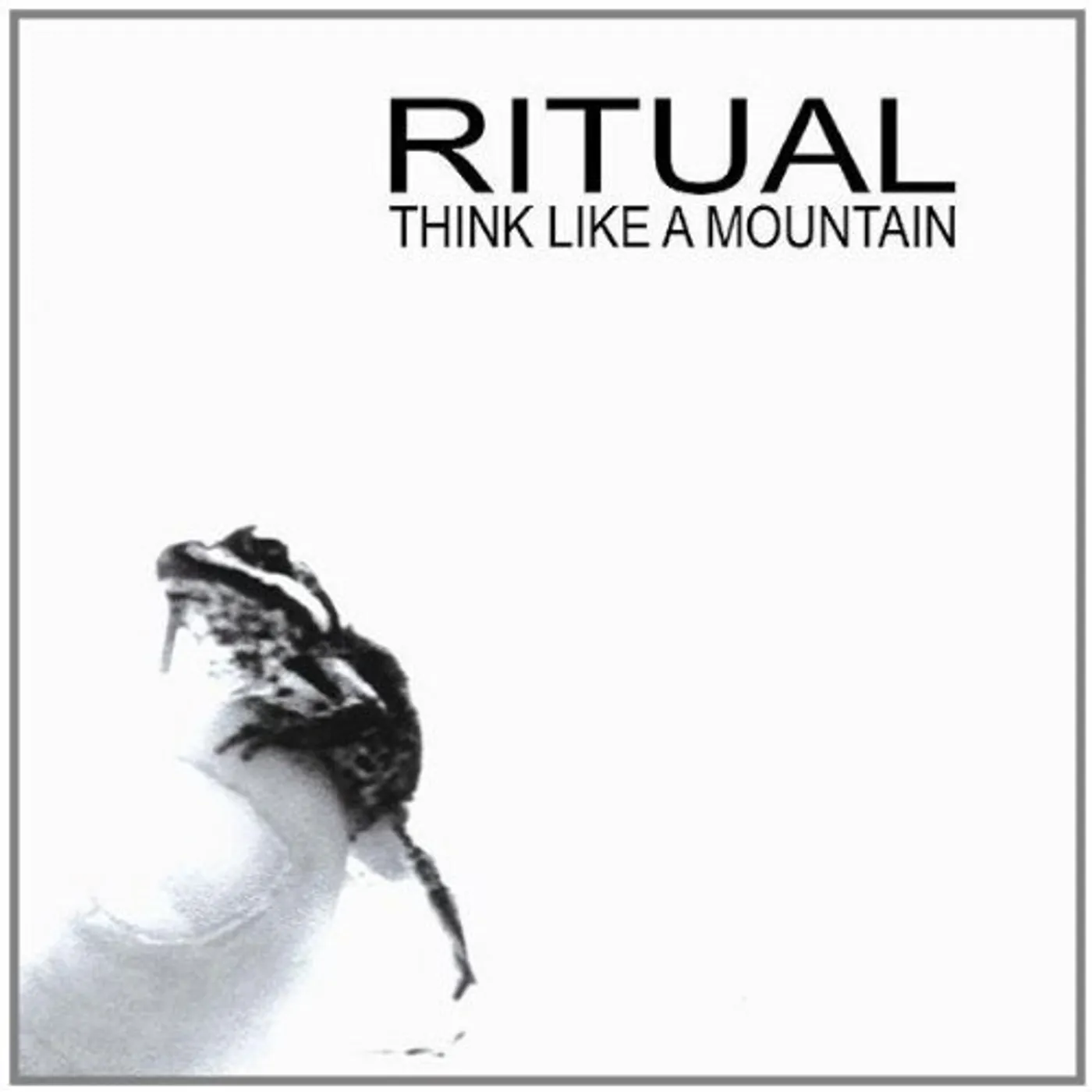 Ritual THINK LIKE A MOUNTAIN CD