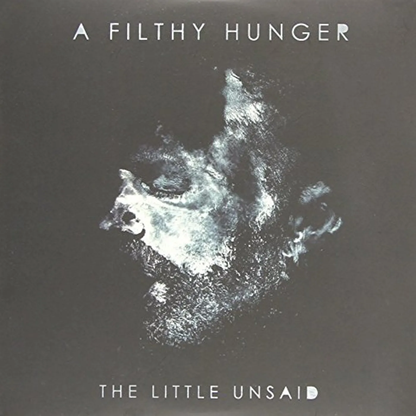 The Little Unsaid FILTHY HUNGER CD
