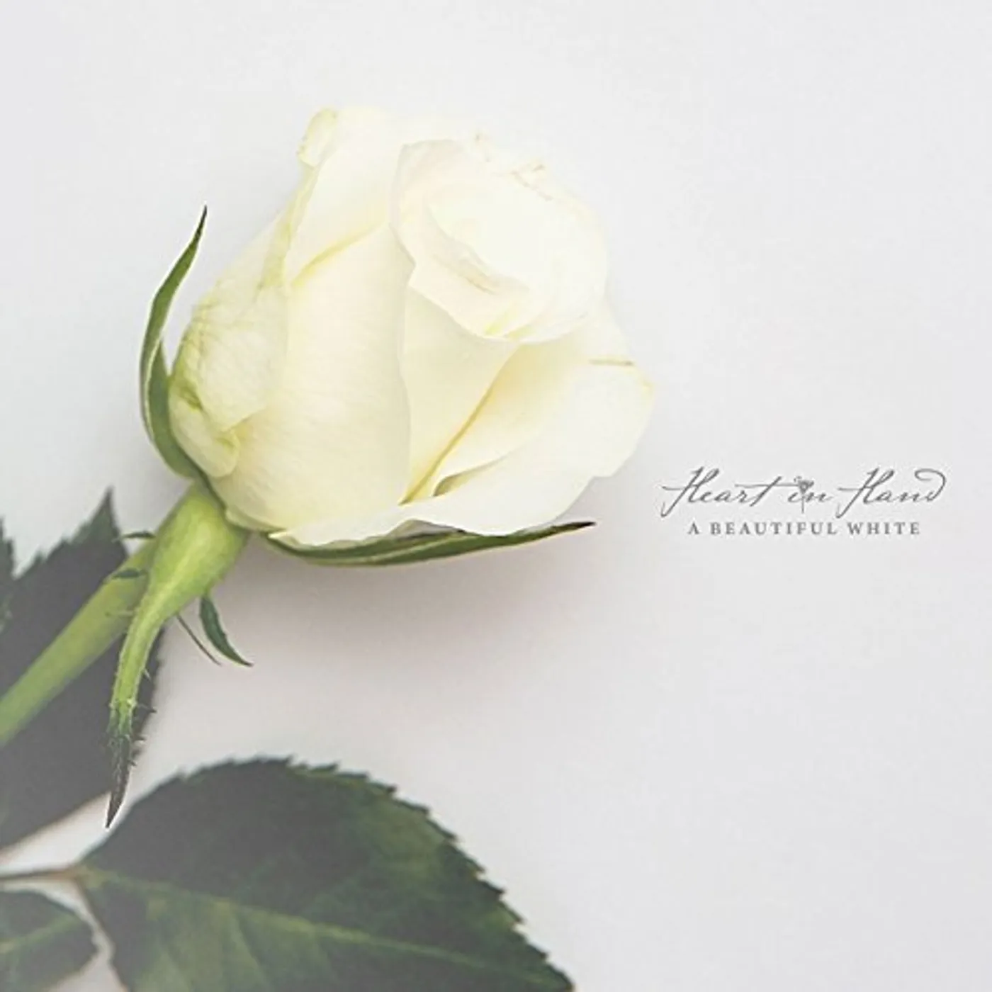 Heart In Hand BEAUTIFUL WHITE CD