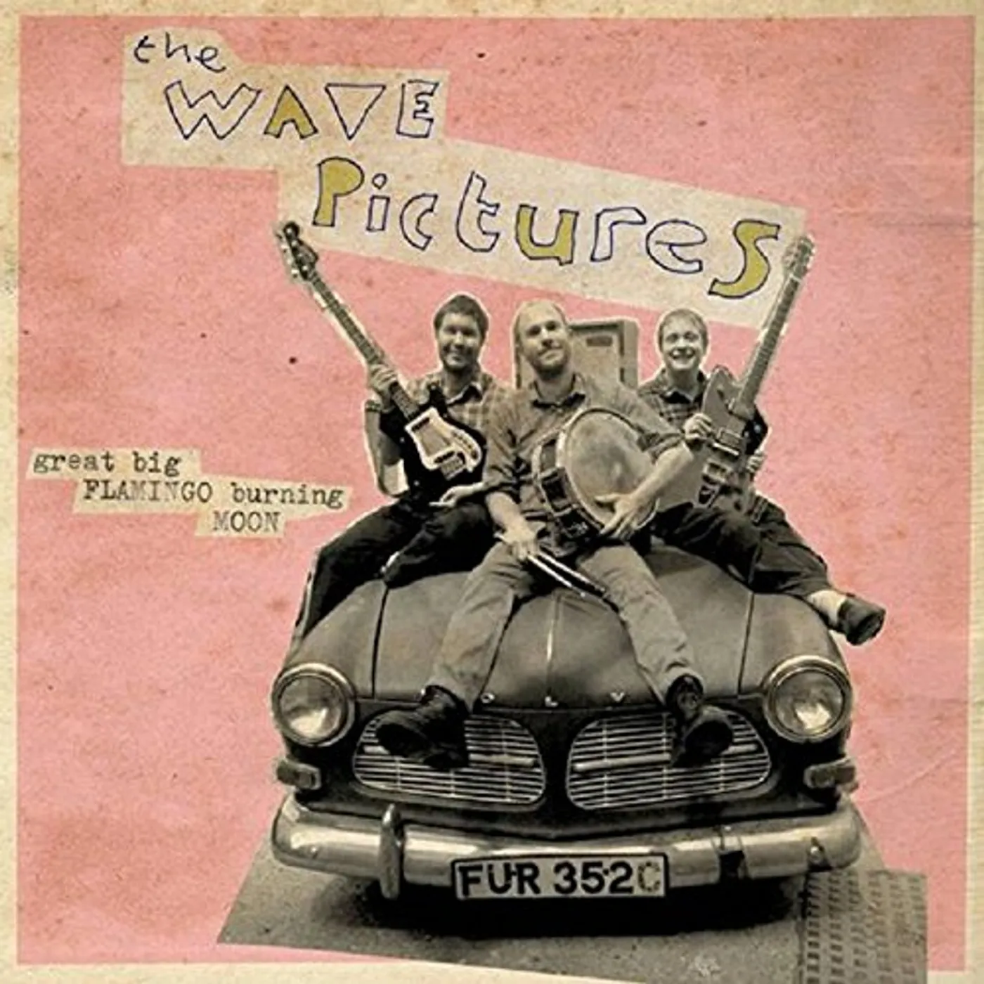 The Wave Pictures GREAT BIG FLAMINGO BURNING MOON CD