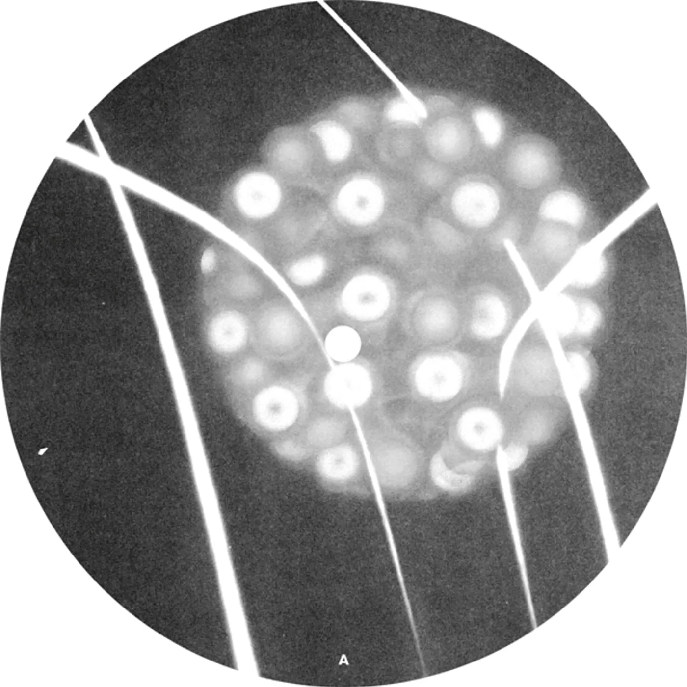 Function RECOMPILED EXTRACTIONS Vinyl Record