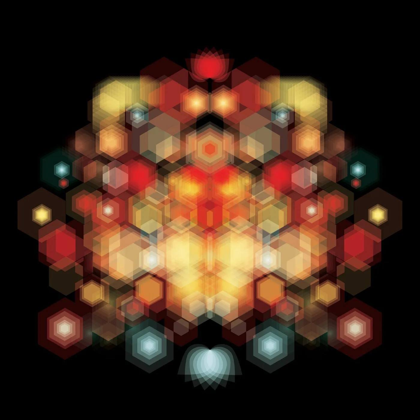 Brothertiger Future Splendors Vinyl Record