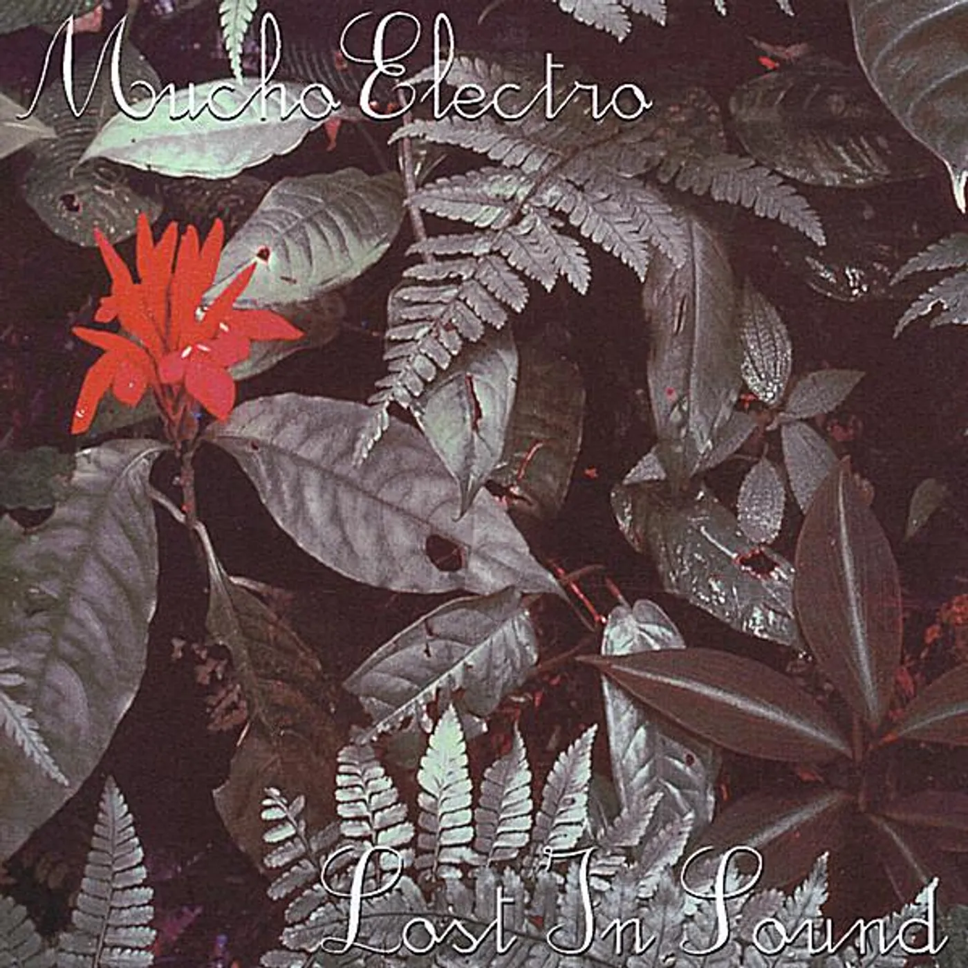Mucho Electro LOST IN SOUND CD