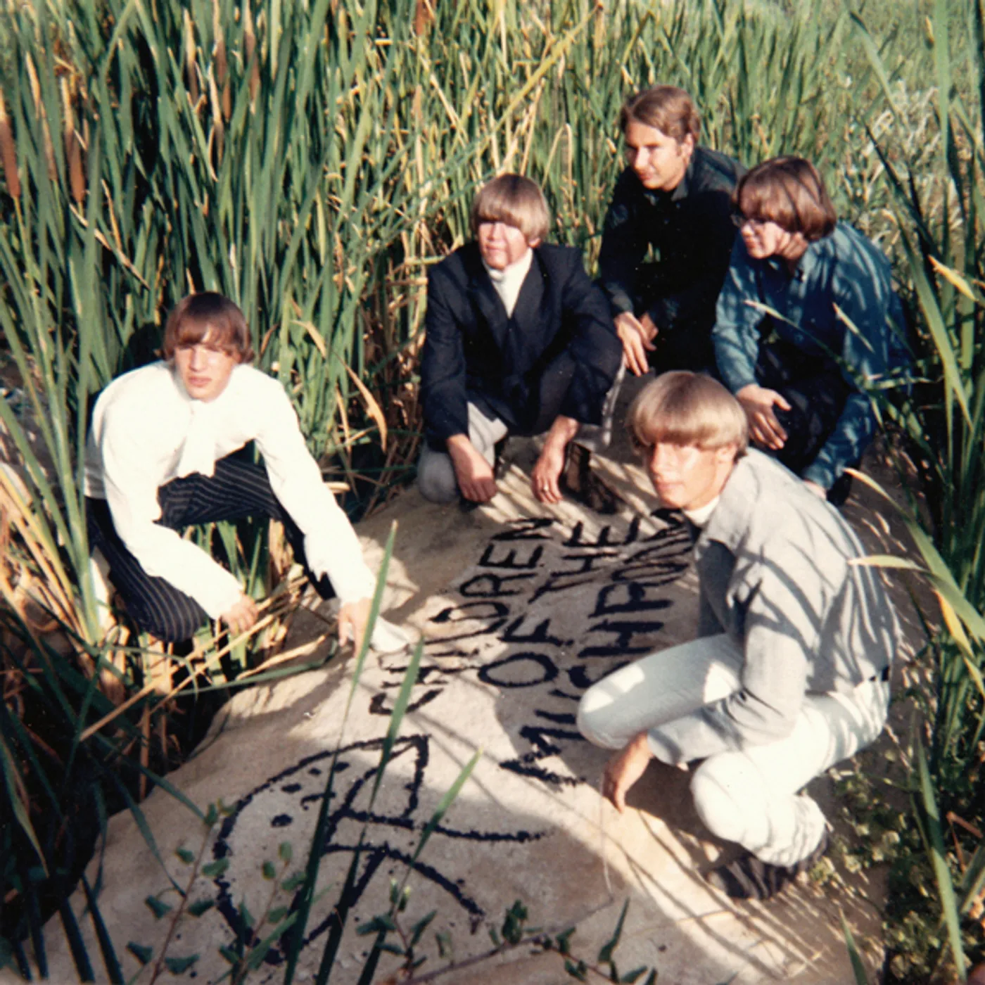 Children Of The Mushroom Vinyl Record