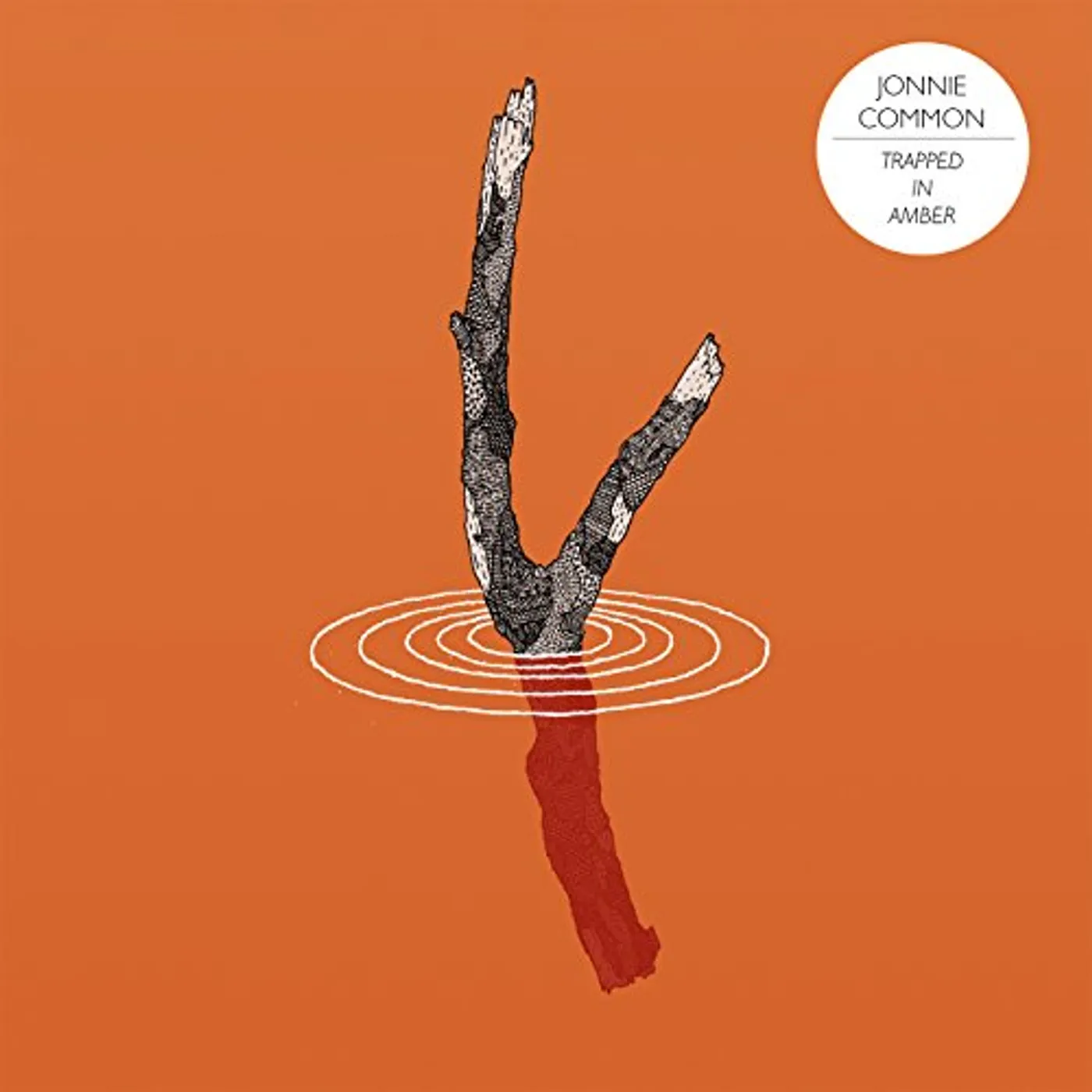 Jonnie Common TRAPPED IN AMBER Vinyl Record - UK Release