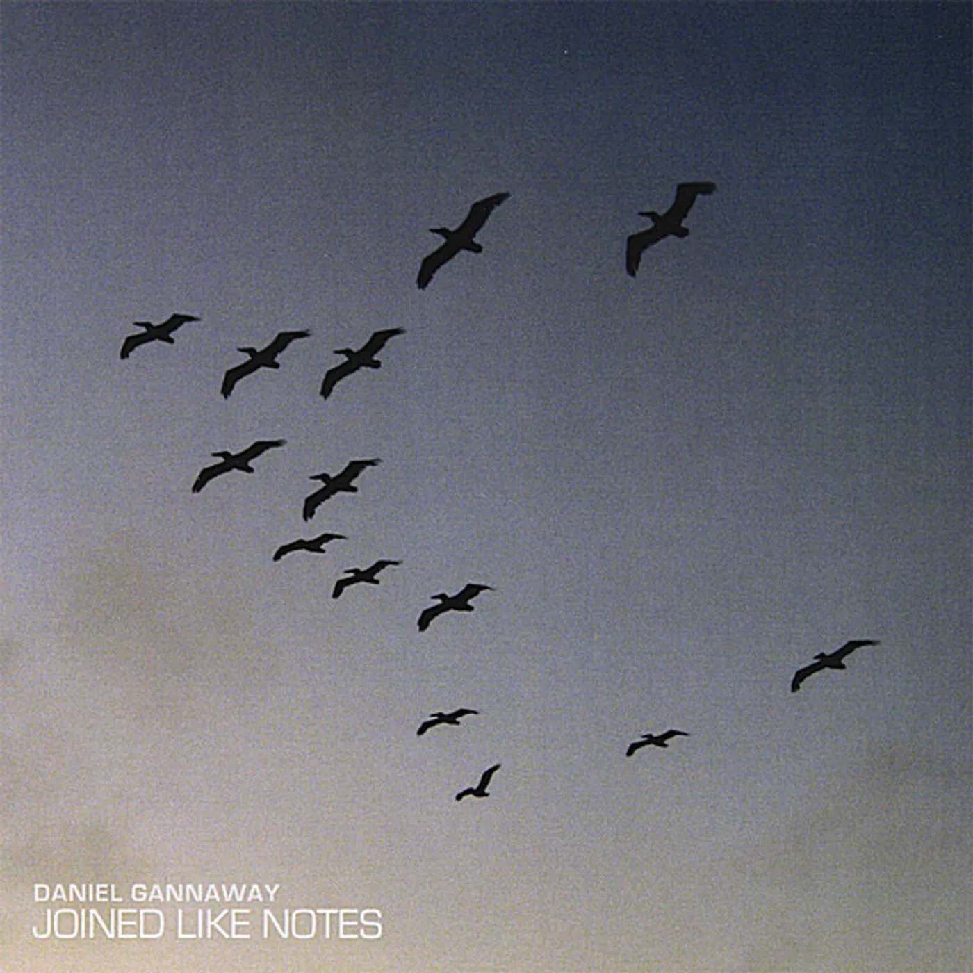 Daniel Gannaway JOINED LIKE NOTES CD