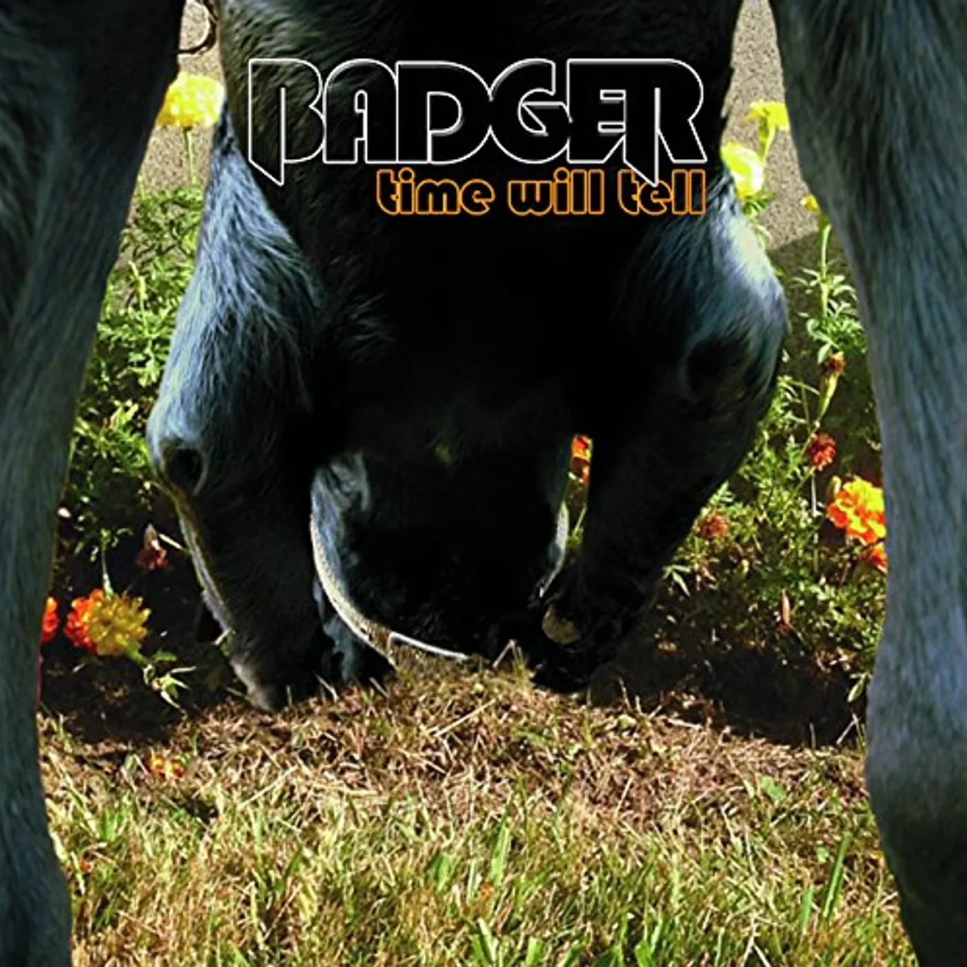 Badger TIME WILL TELL CD