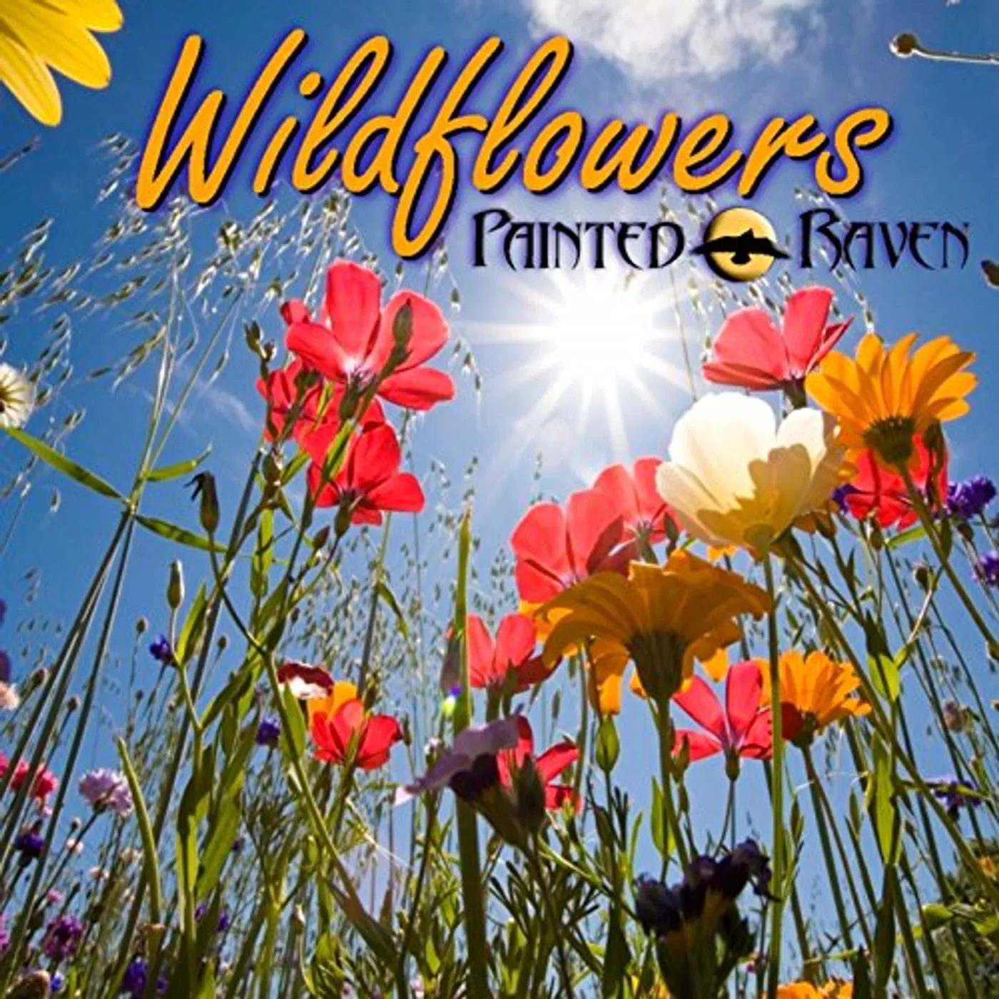 Painted Raven WILDFLOWERS CD