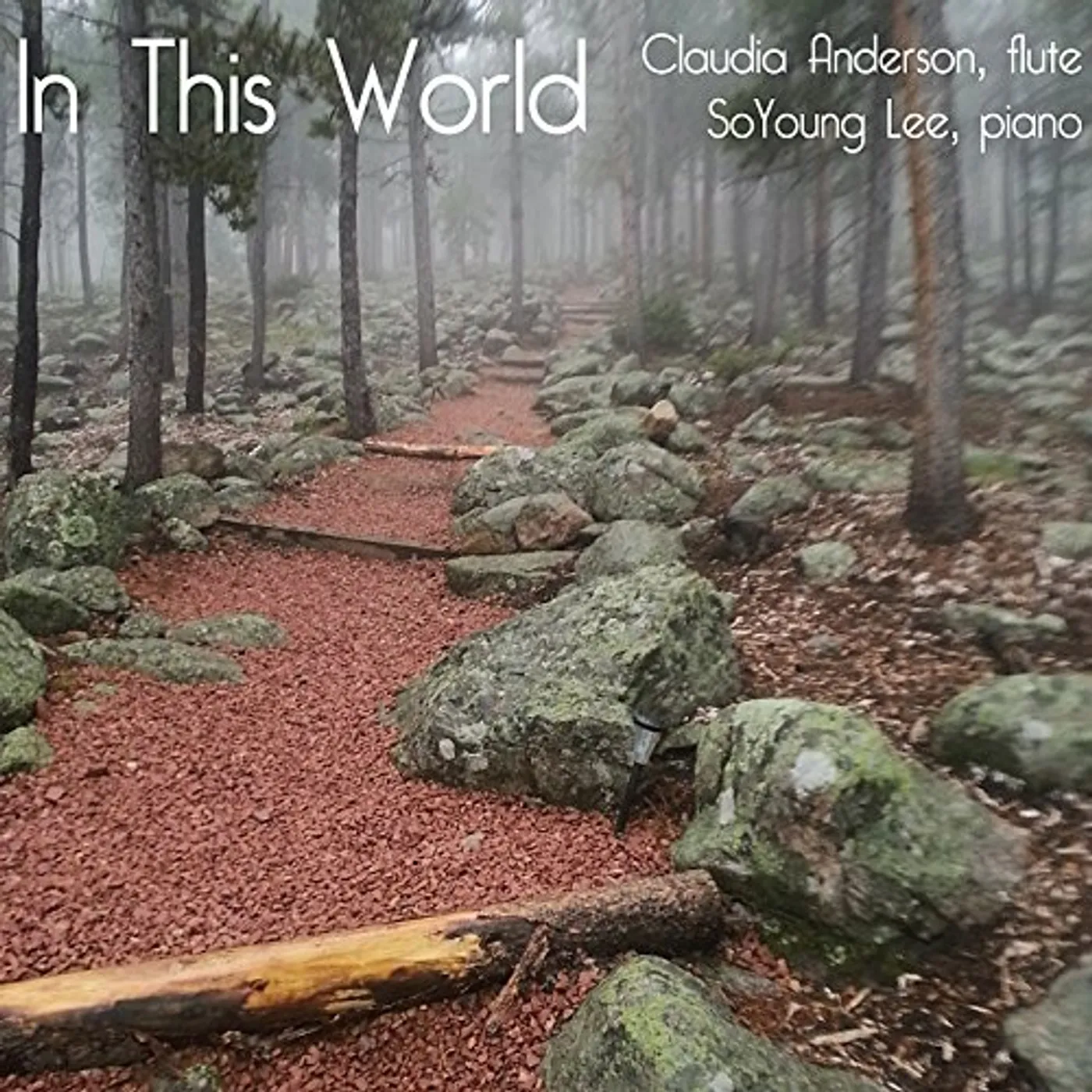 Claudia Anderson IN THIS WORLD CD