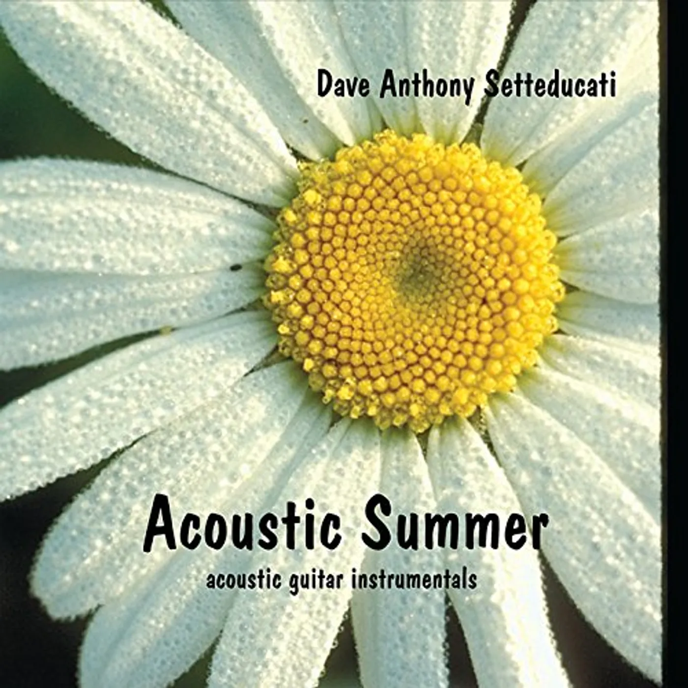 Dave Anthony Setteducati ACOUSTIC SUMMER CD