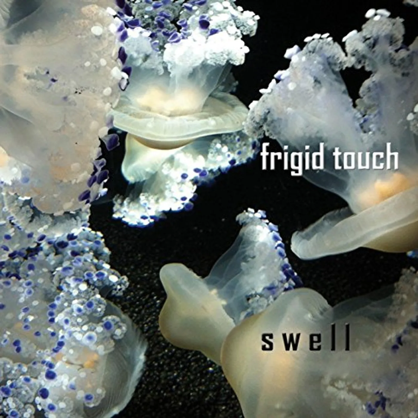 Frigid Touch SWELL CD