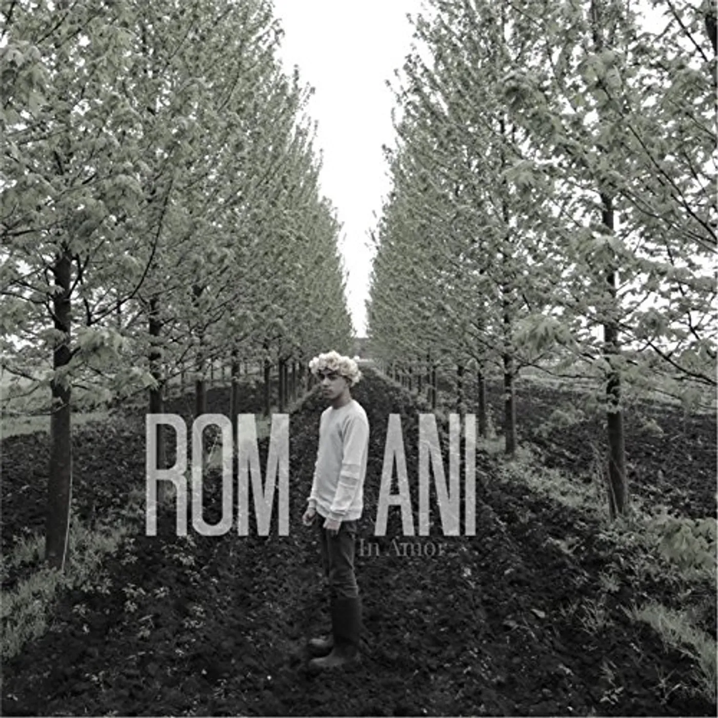 Romani IN AMOR CD