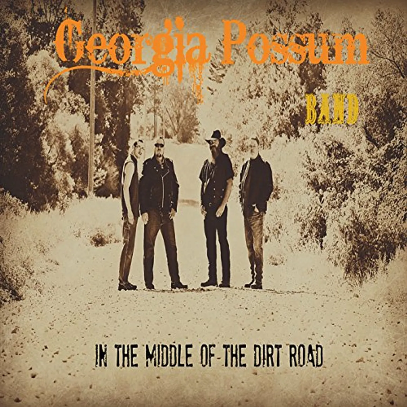 Georgia Possum IN THE MIDDLE OF THE DIRT ROAD CD