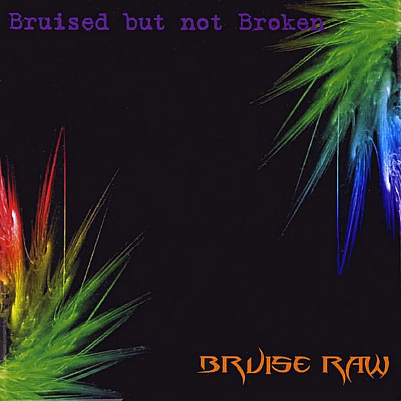 Bruised But Not Broken BRUISE RAW CD
