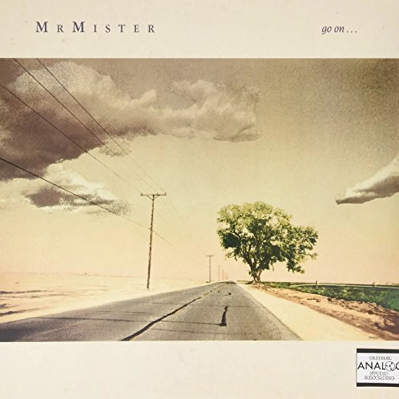 Mr. Mister GO ON (SOMETHING REAL) Vinyl Record