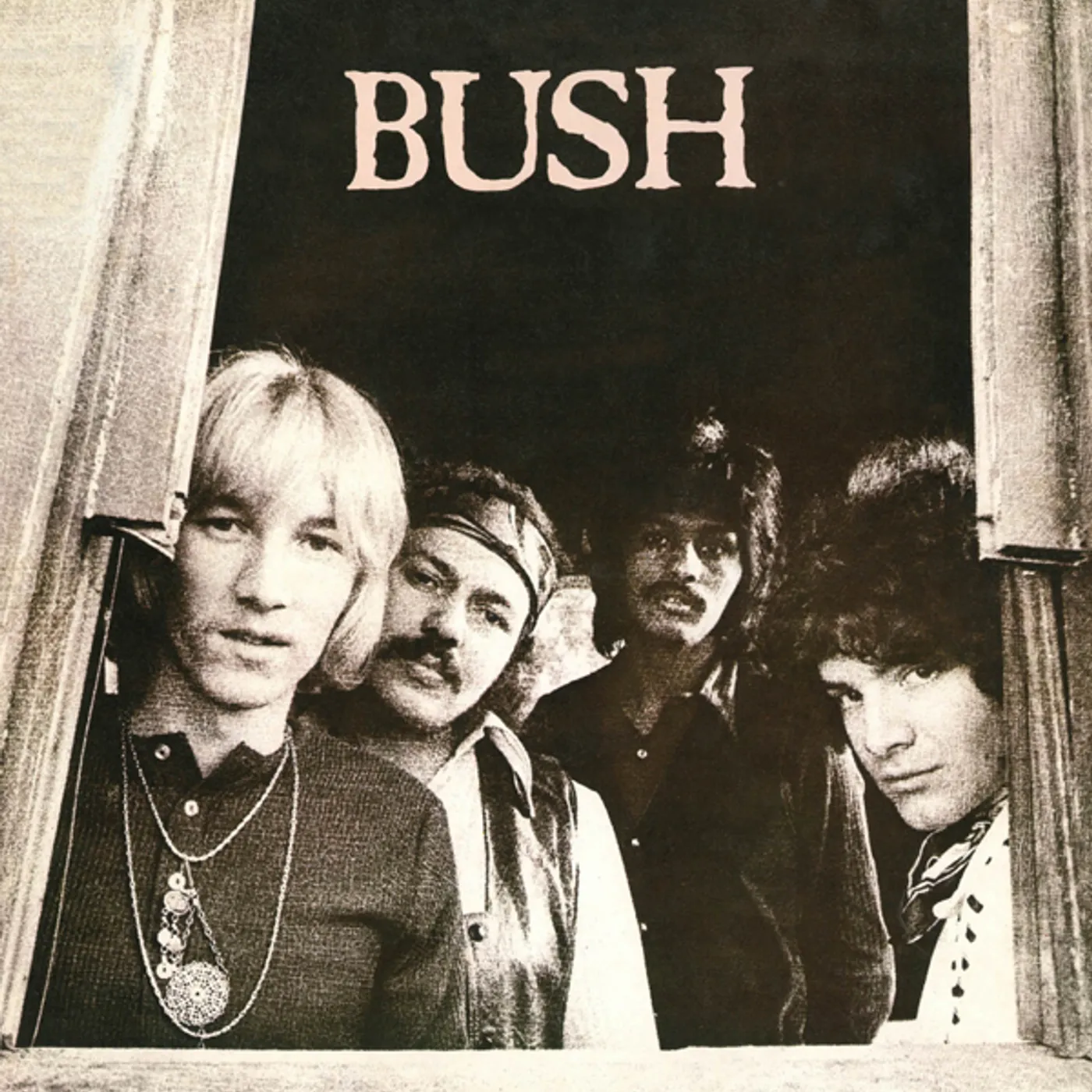 BUSH CD