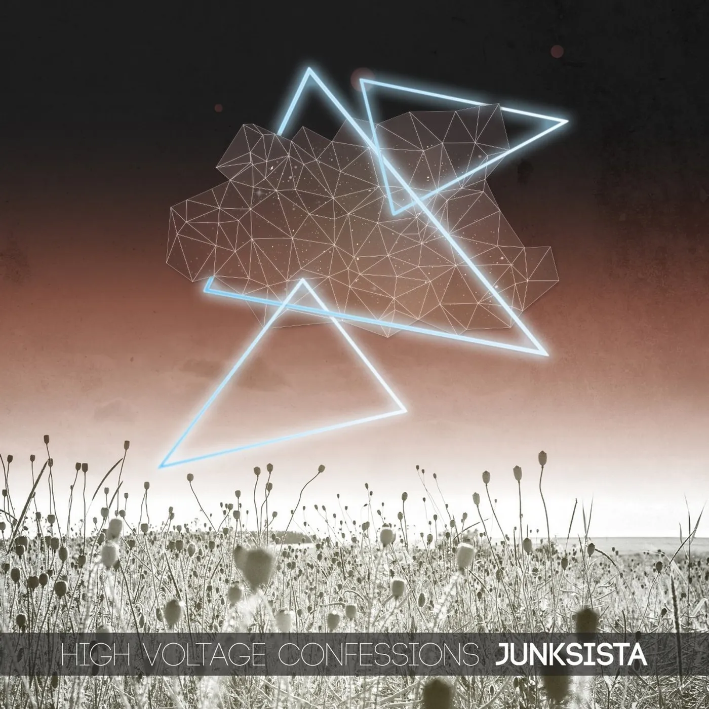 Junksista HIGH VOLTAGE CONFESSIONS CD