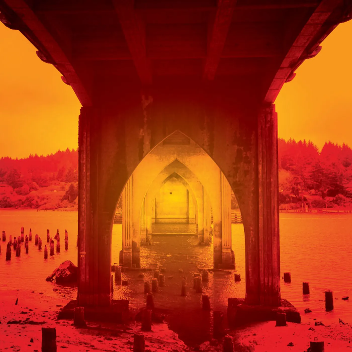 The Ravenna Colt Terminal Current Vinyl Record