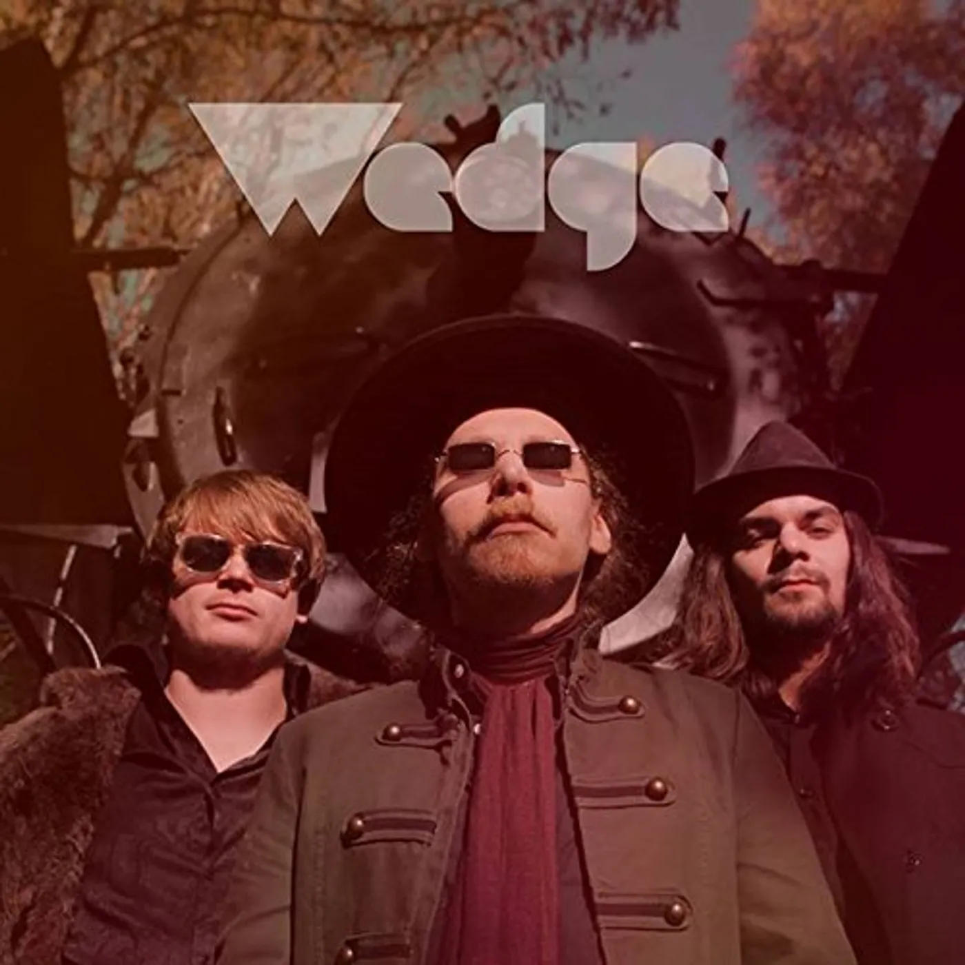 Wedge Vinyl Record