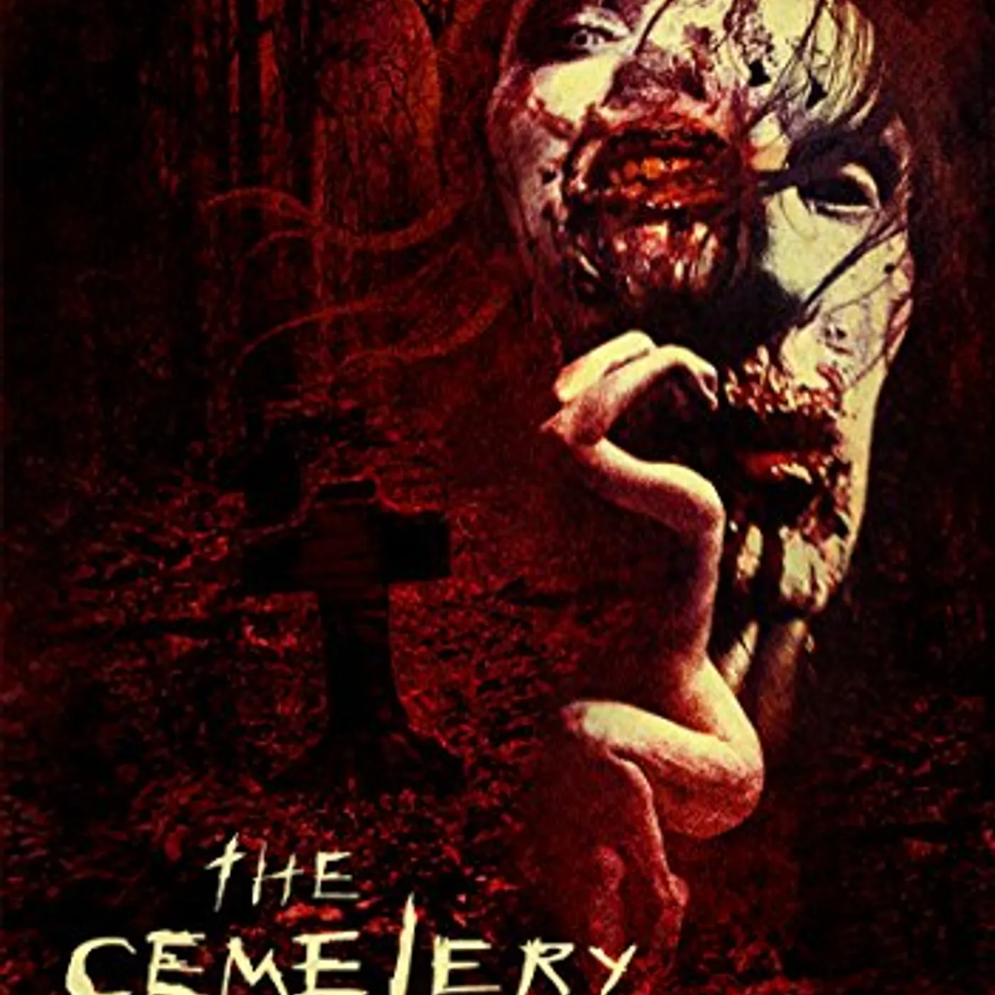 CEMETERY DVD