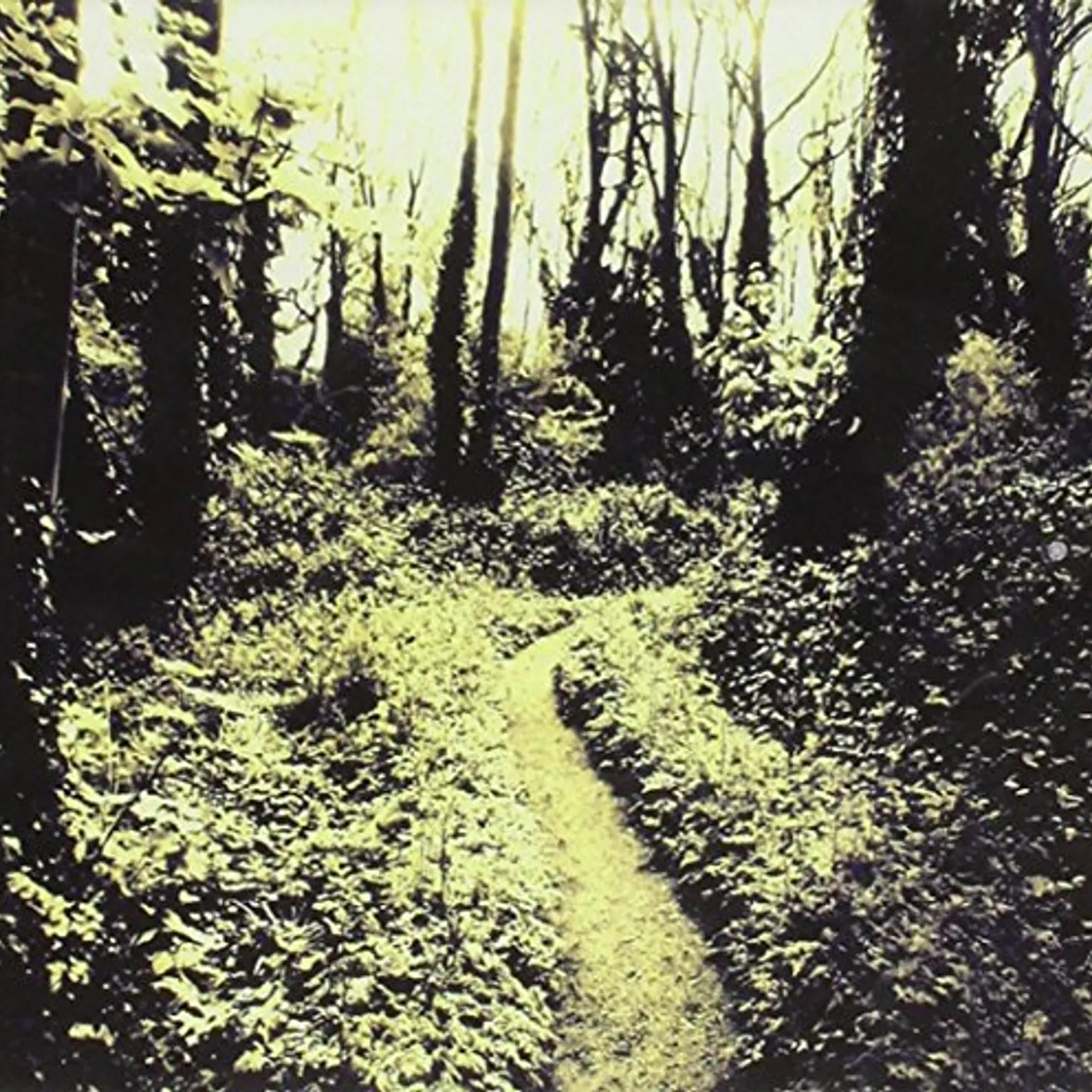 Luca Nieri MUSIC FROM THE DARK BRANCHES CD