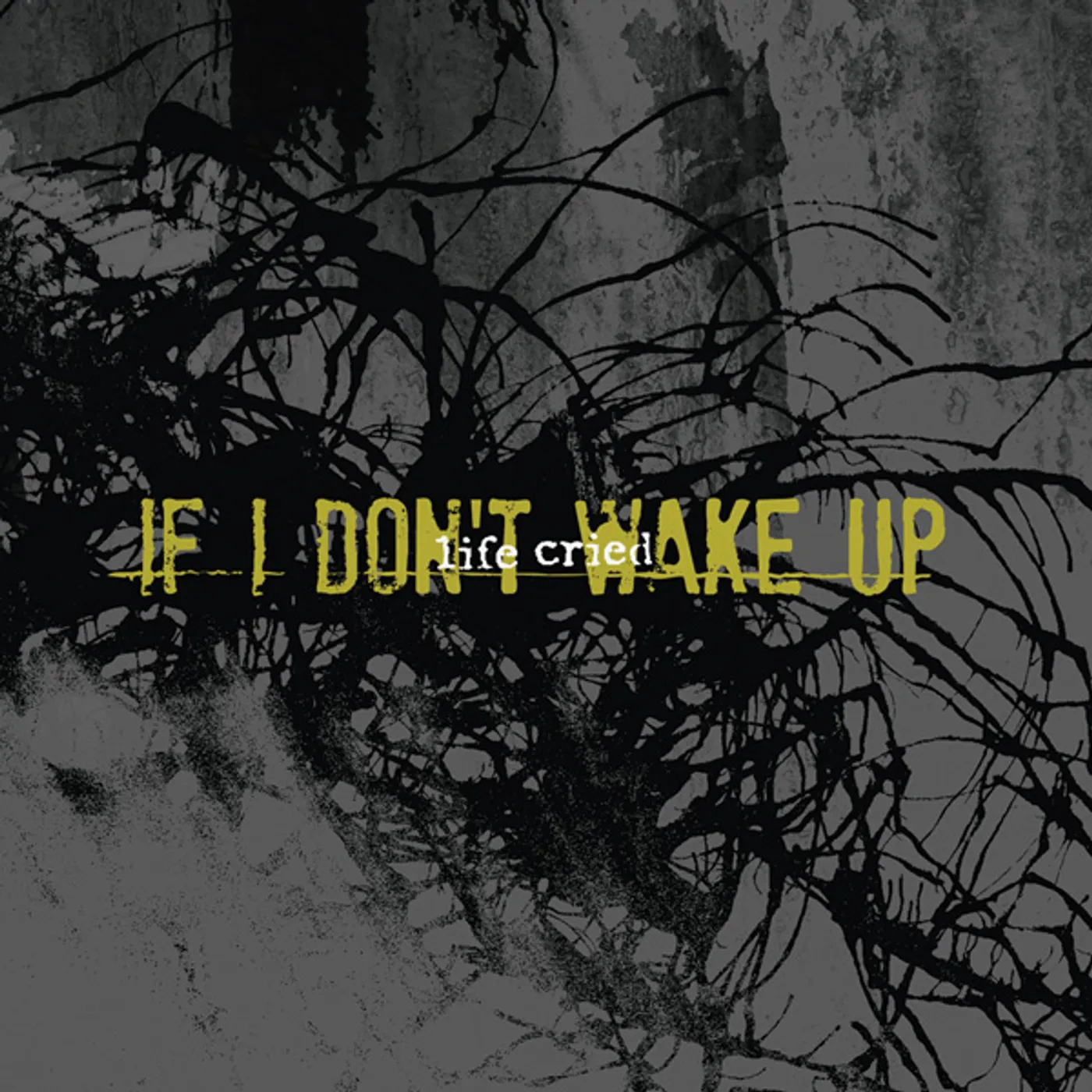Life Cried IF I DON'T WAKE UP CD