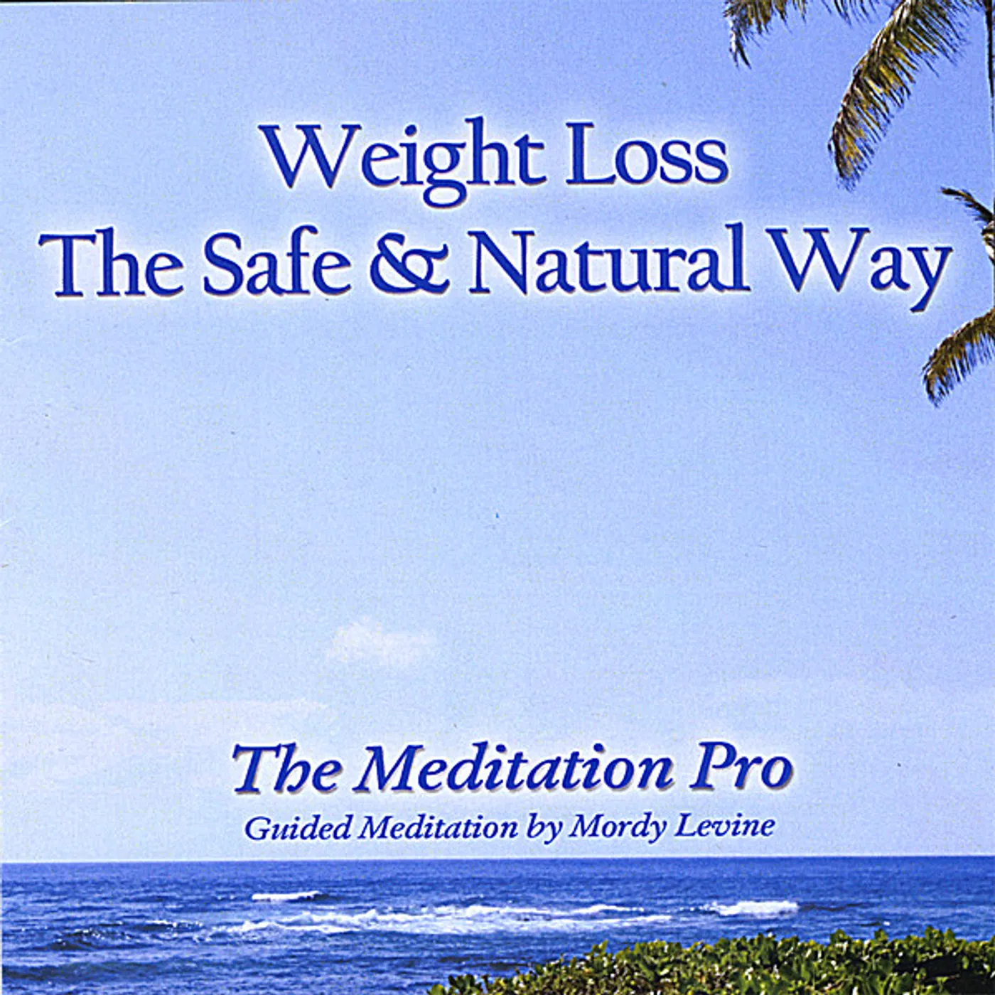 Mordy Levine WEIGHT LOSS: SAFE & NATURAL WAY CD
