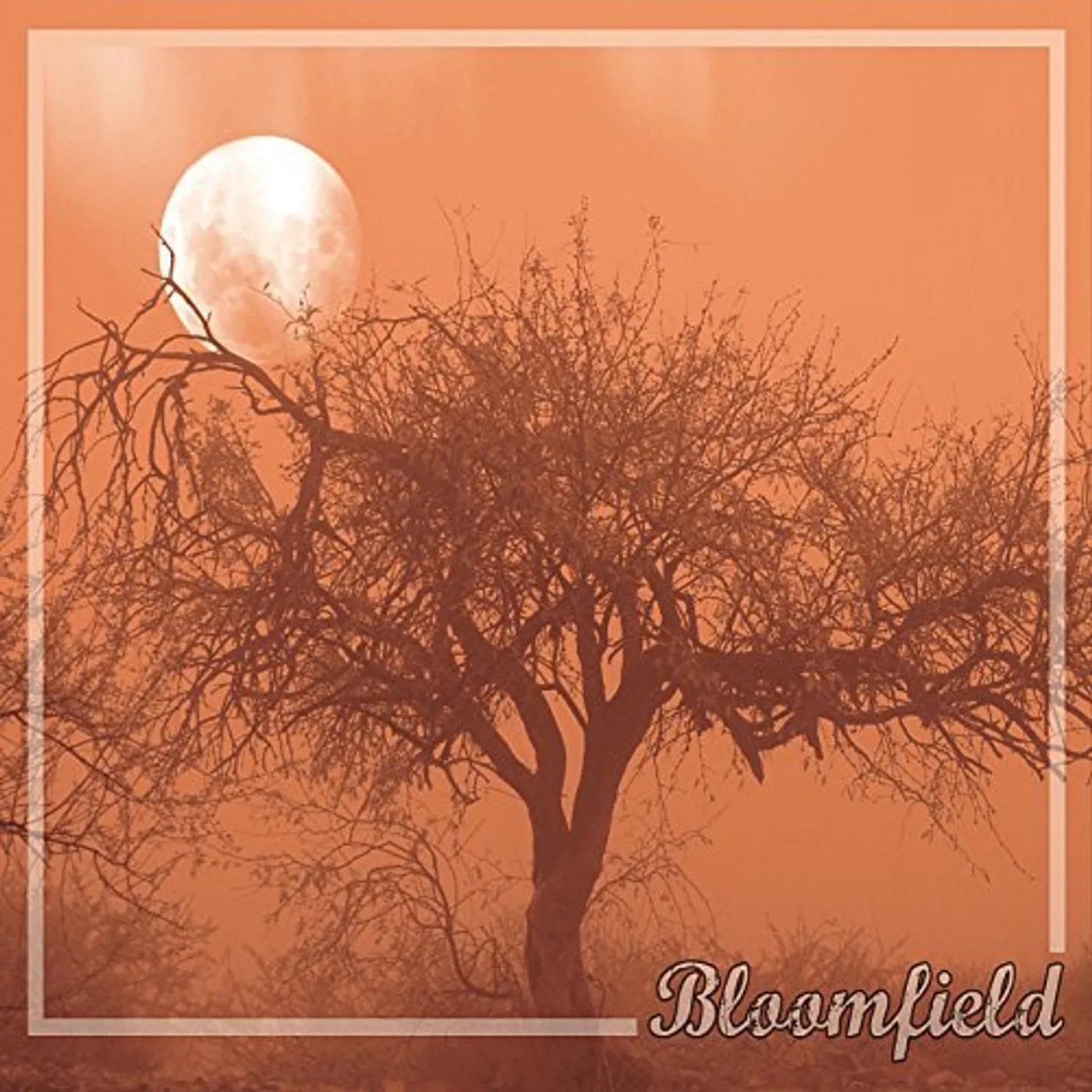 Bloomfield ADVERSITY CD
