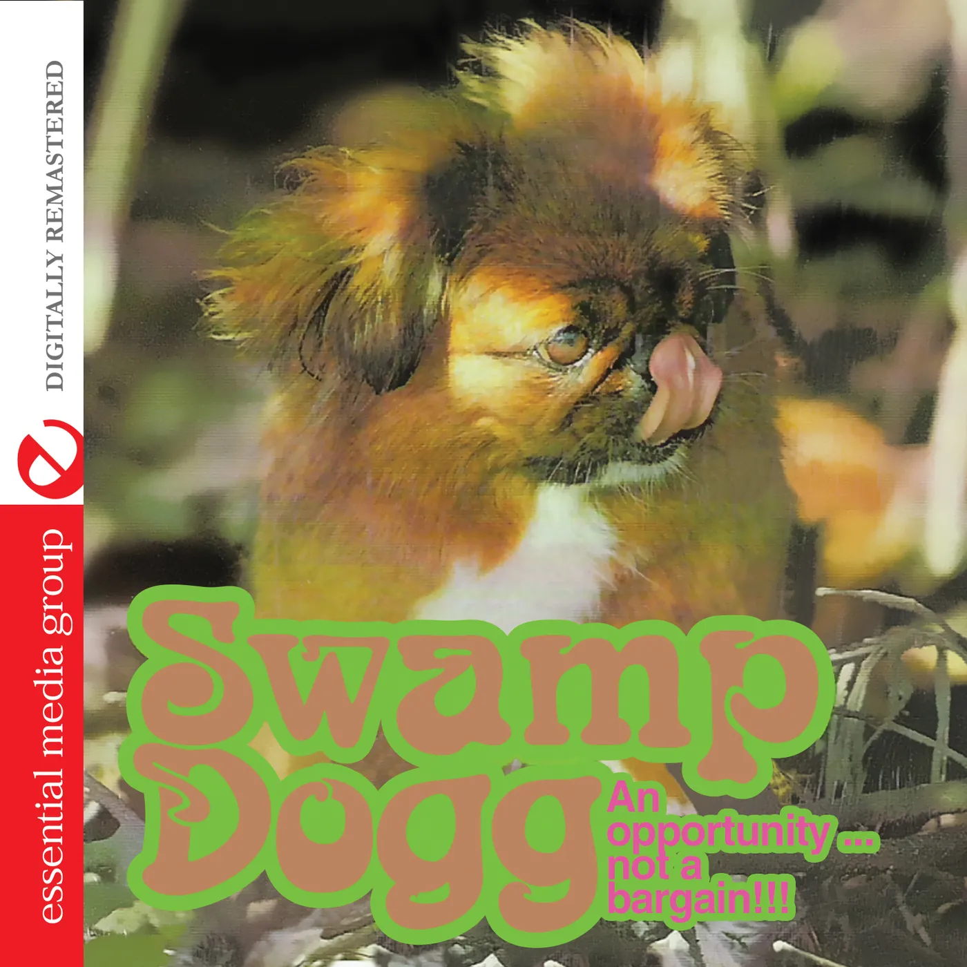 Swamp Dogg AN OPPORTUNITY NOT A BARGAIN CD