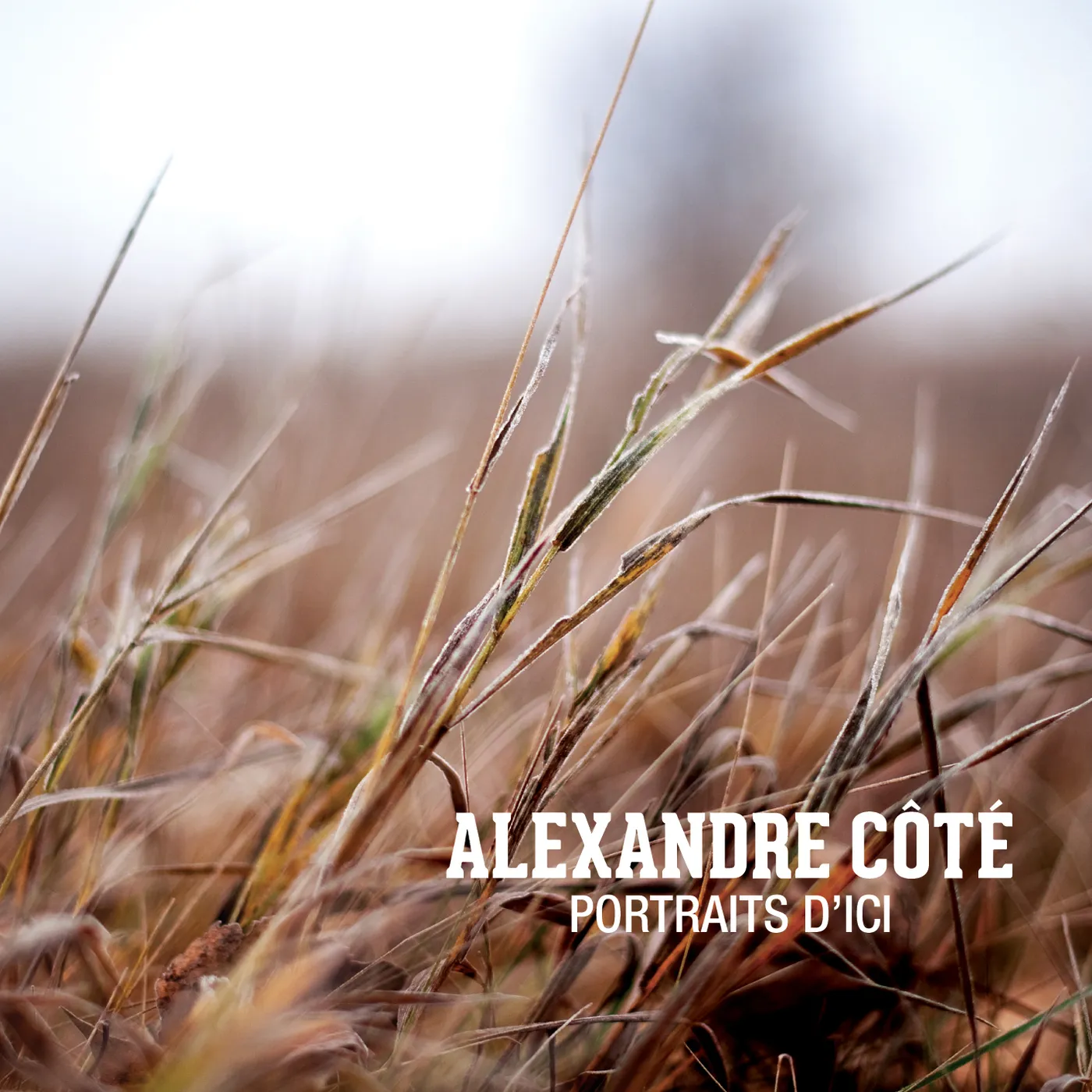 Alexandre Cote PORTRAITS D'ICI CD