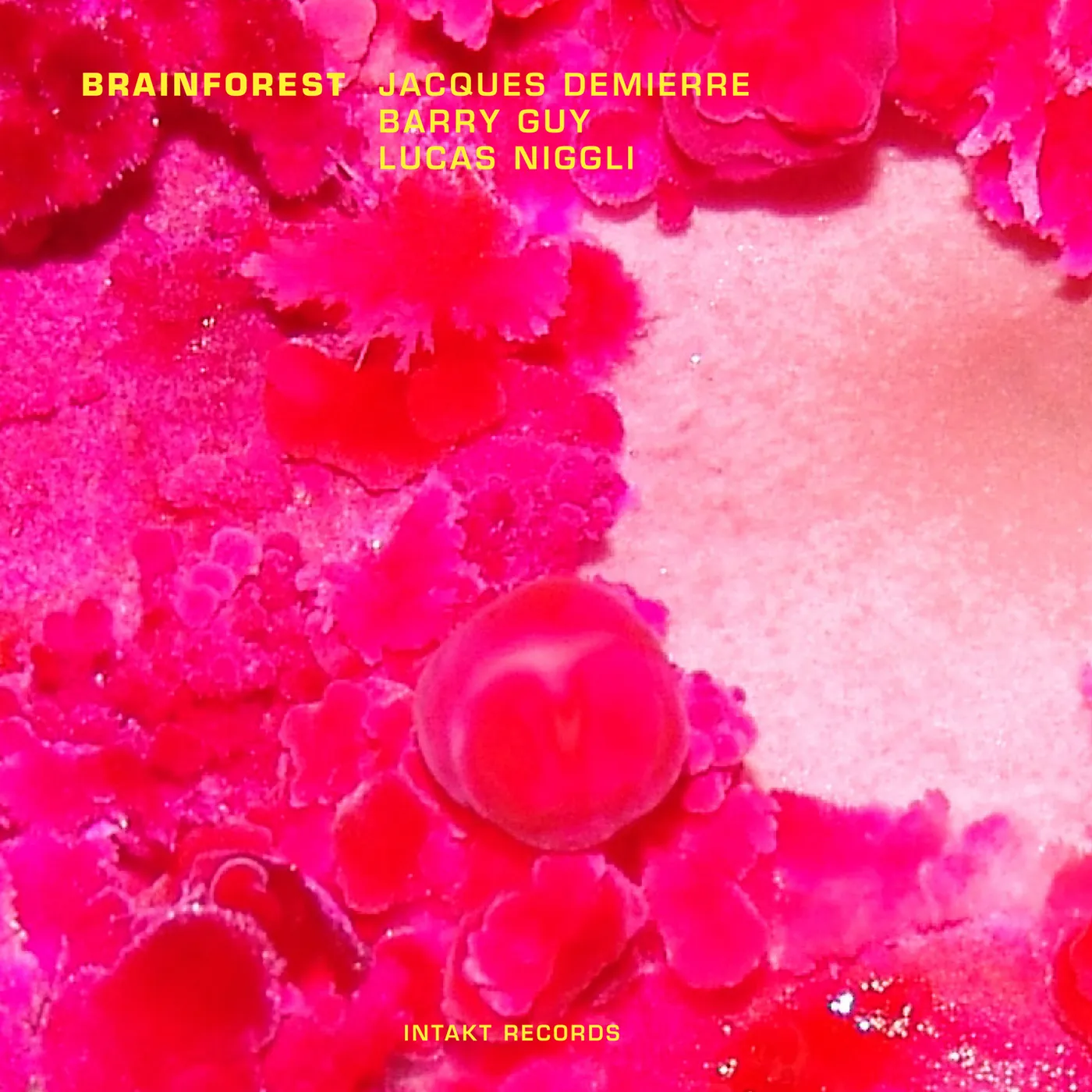 Jacques Demierre BRAINFOREST CD