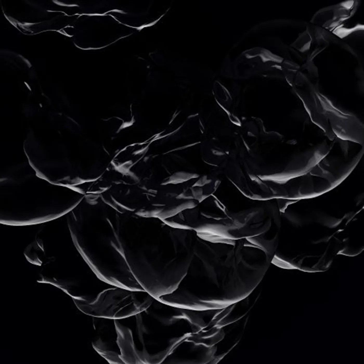 Gaiser False Light Vinyl Record