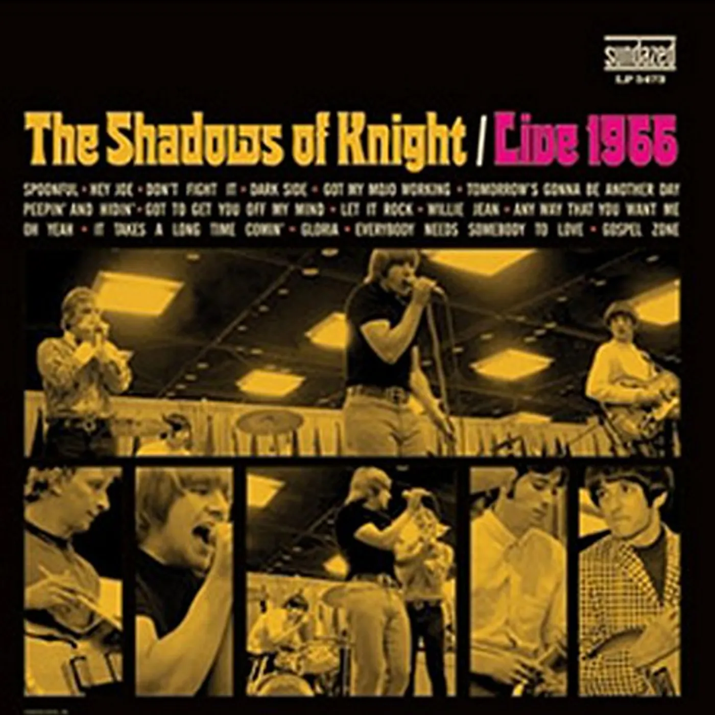 The Shadows Of Knight Live 1966 Vinyl Record
