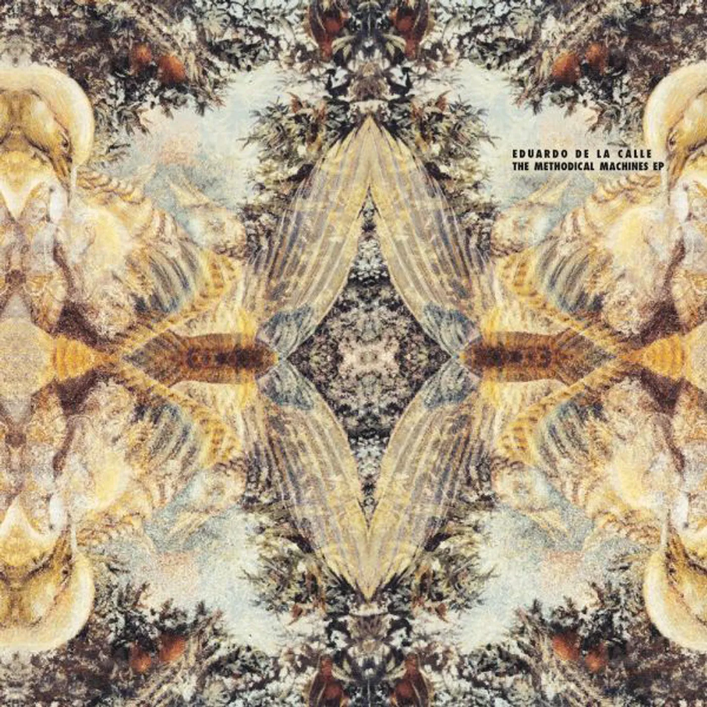 Eduardo De la Calle METHODICAL MACHINES Vinyl Record