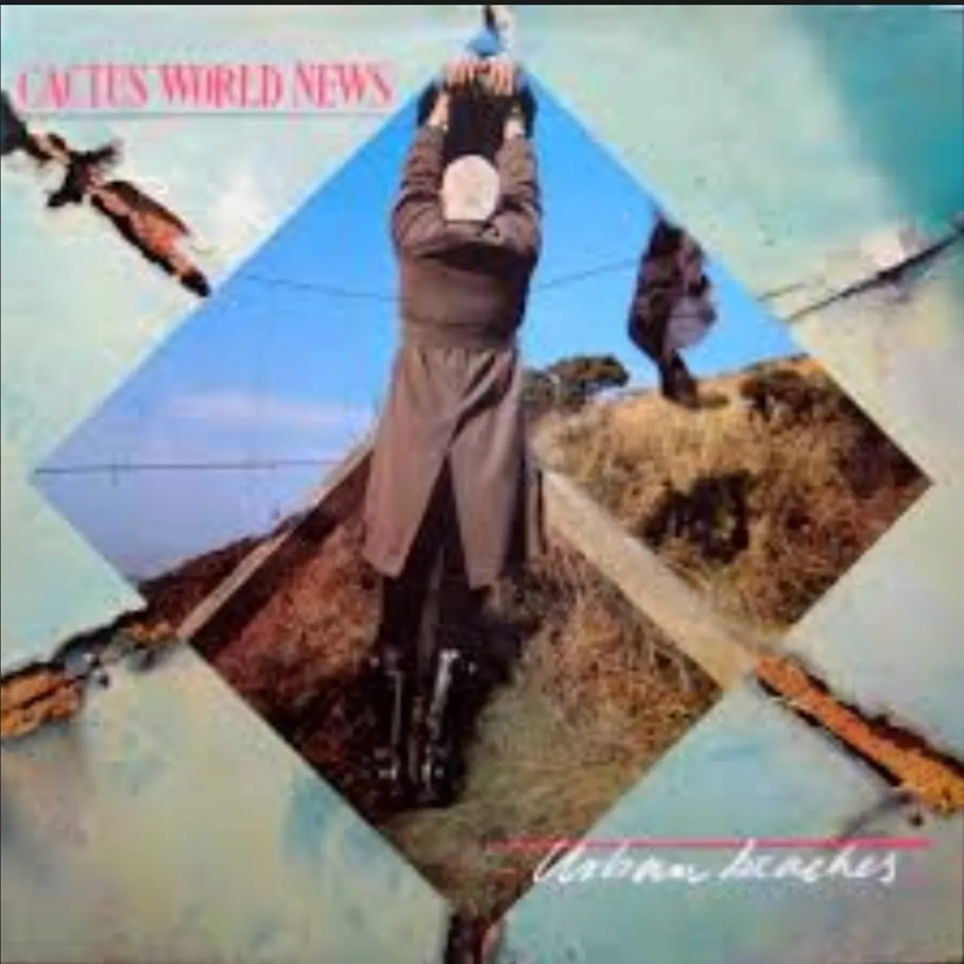 Cactus World News Urban Beaches Vinyl Record