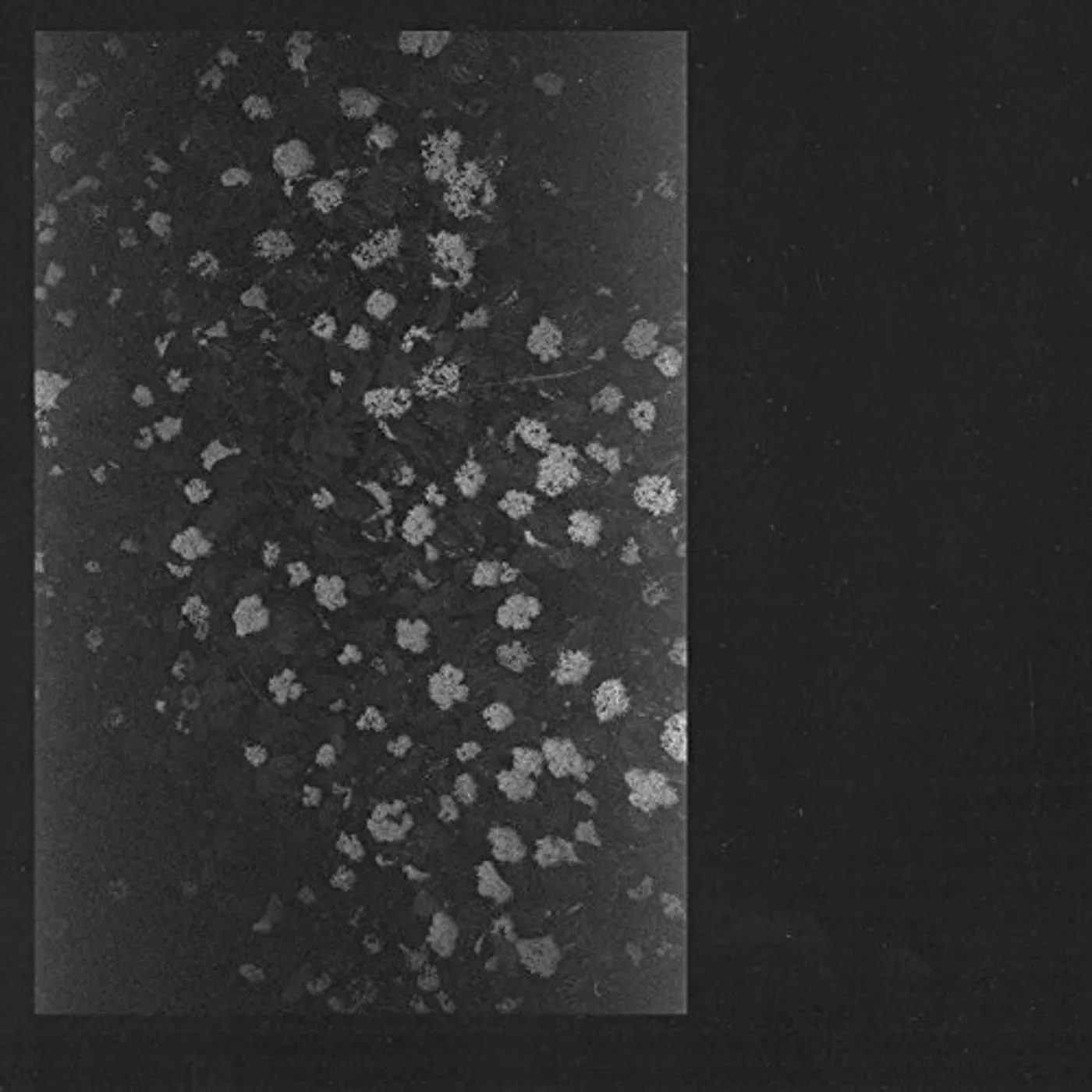 Motorama POVERTY CD