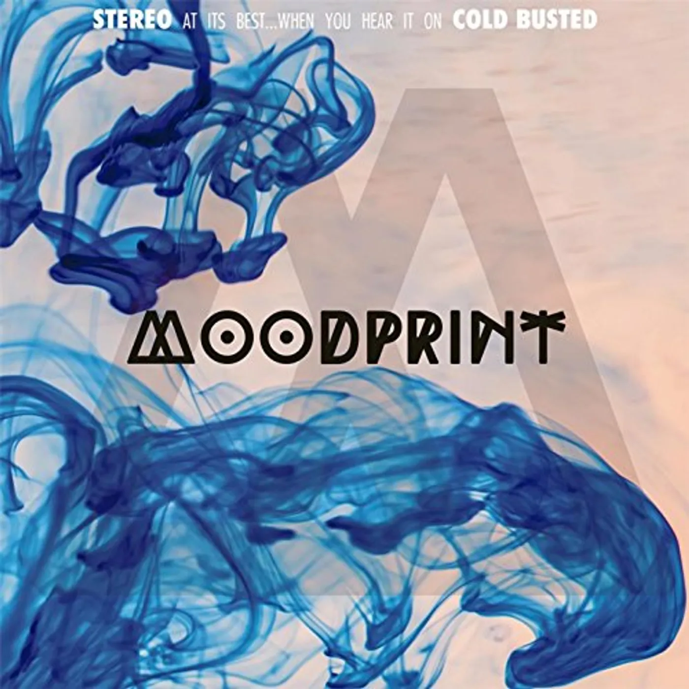 Moodprint Vinyl Record